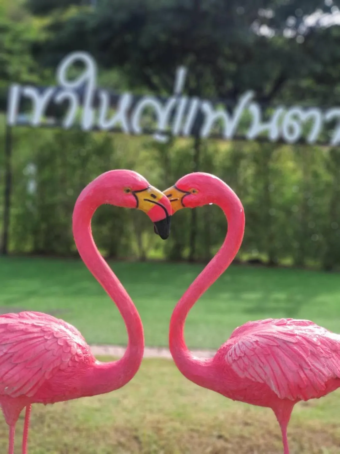 Garden in Khao Yai Fantasy Resort