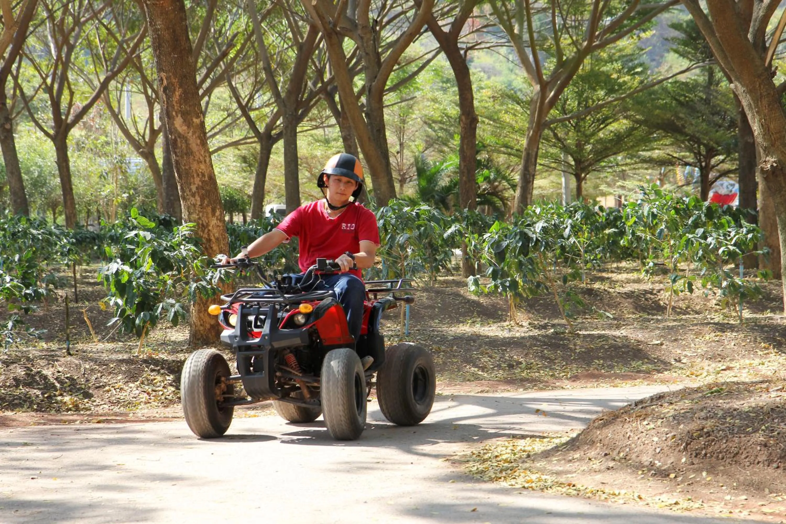 Other in Khao Yai Fantasy Resort