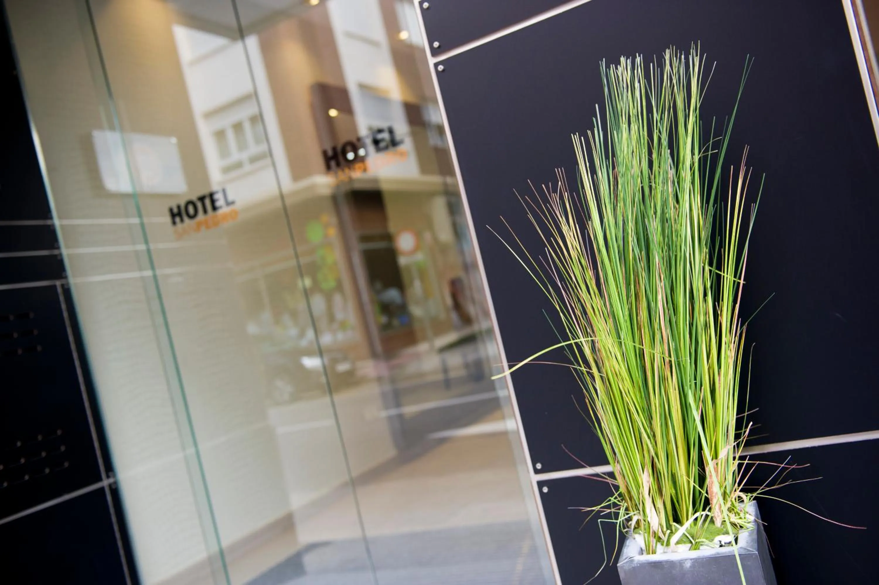 Facade/entrance in Hotel San Pedro