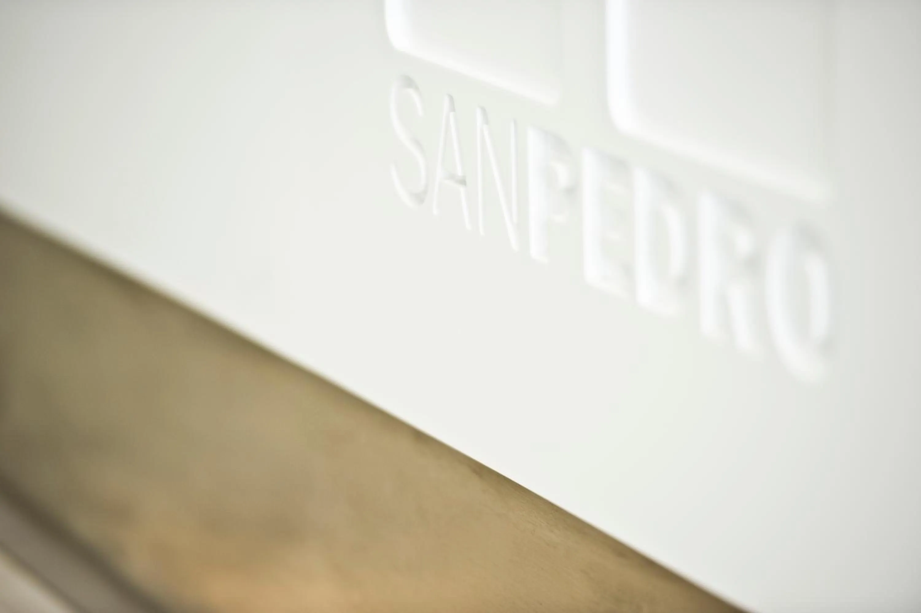 Lobby or reception in Hotel San Pedro