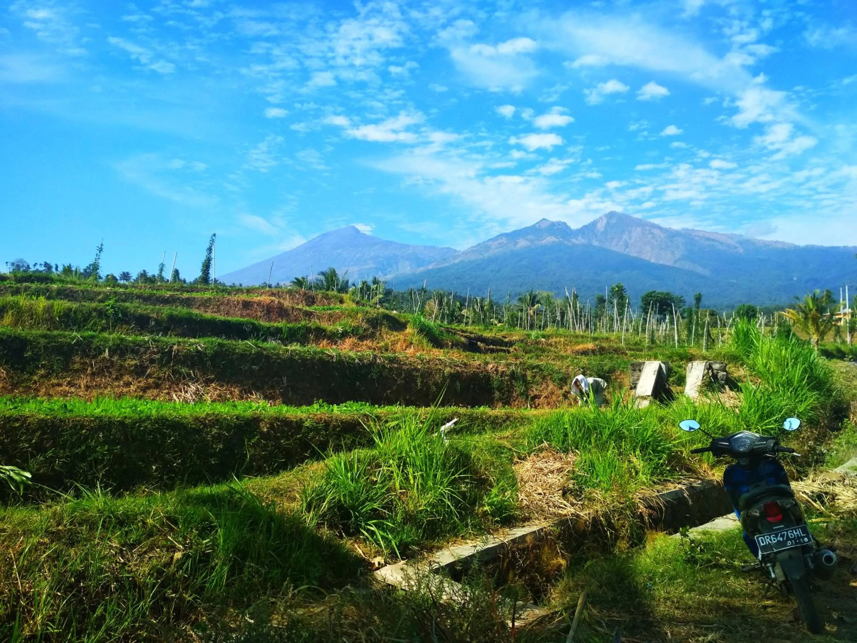 Natural landscape in Budaya Kaki Rinjani