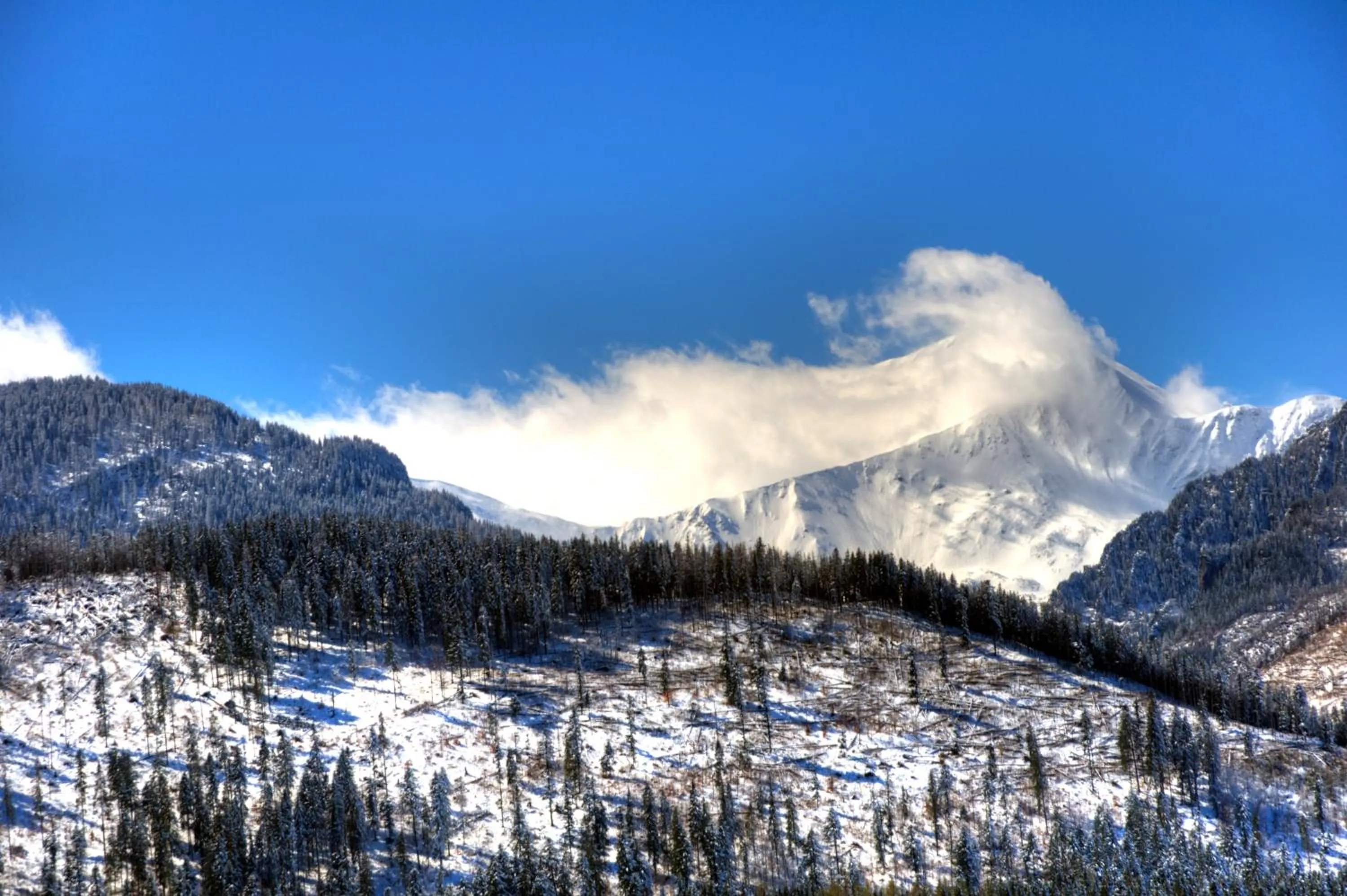 Nearby landmark in Willa u podnóża Tatr Cztery Pory Roku