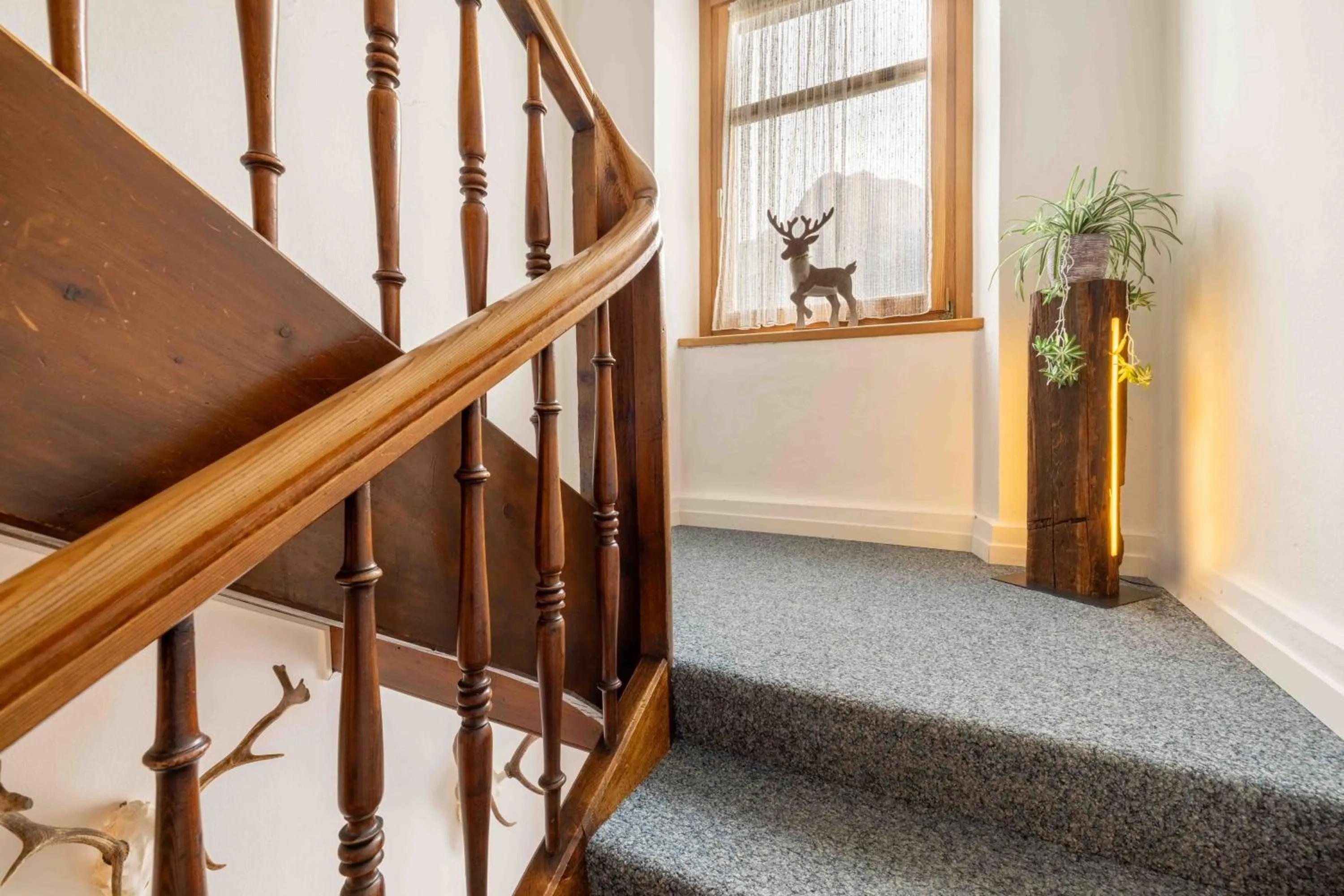 Garni Alpenrose - Grusaida