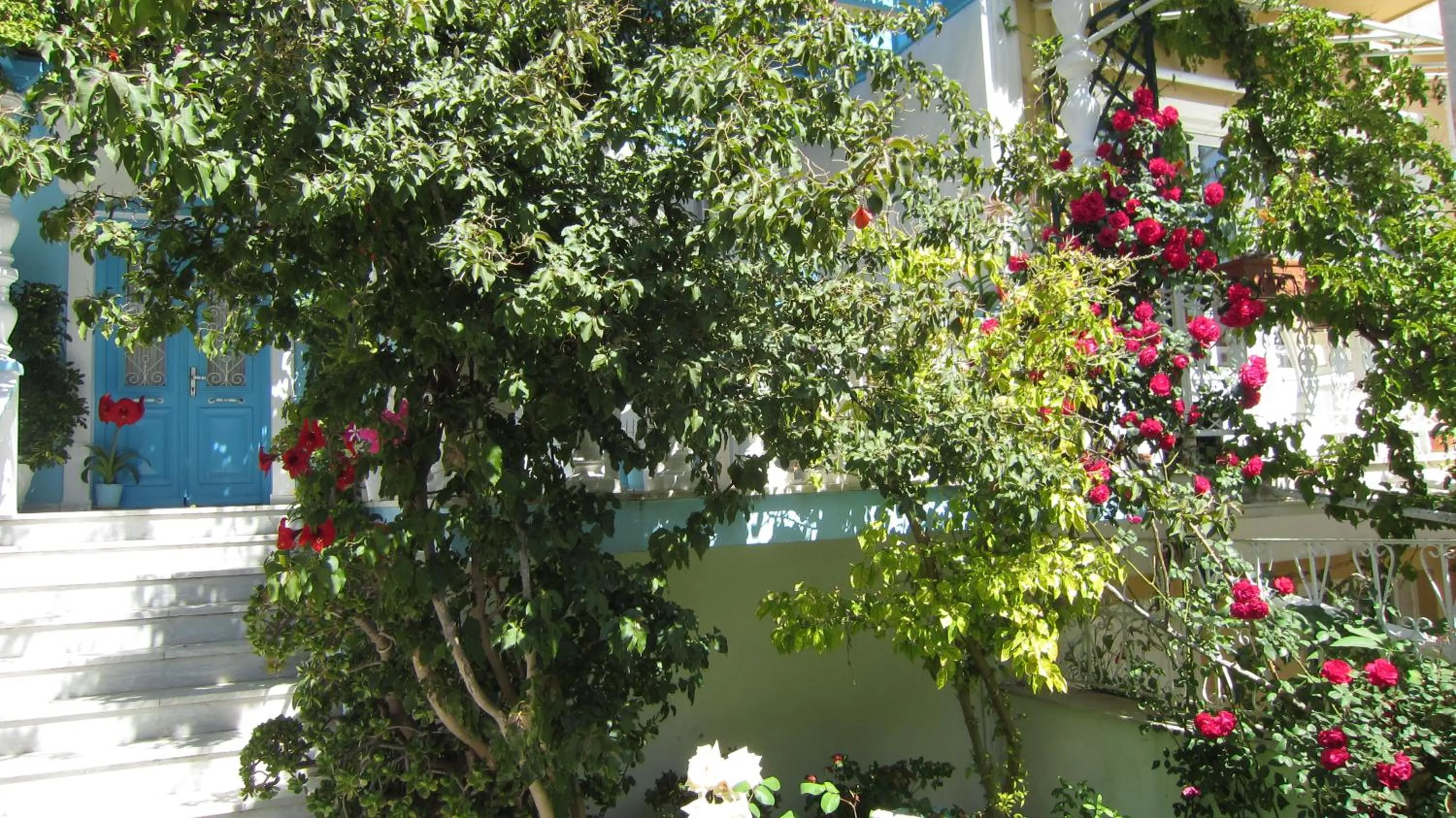 Spring in Sandalis Hotel