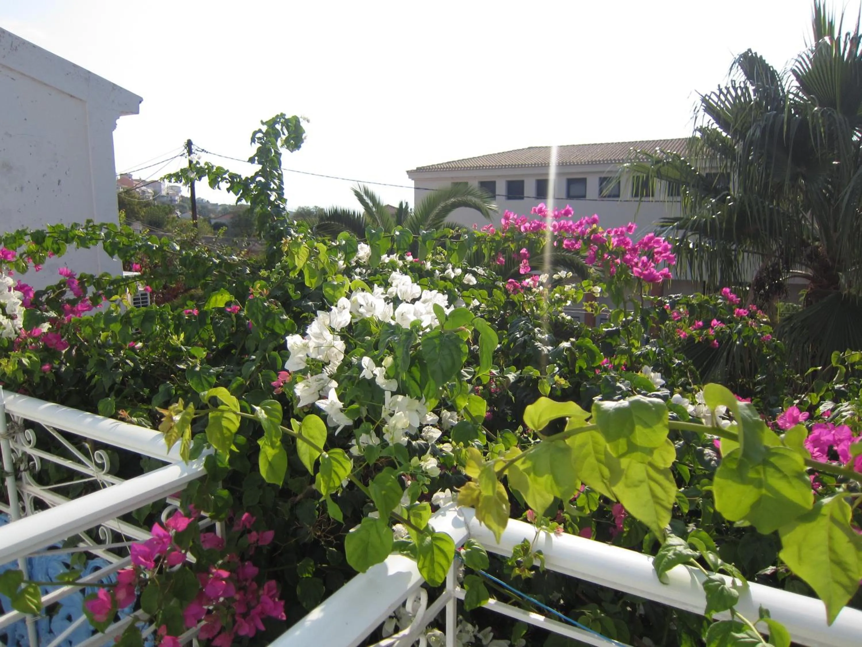 Spring in Sandalis Hotel