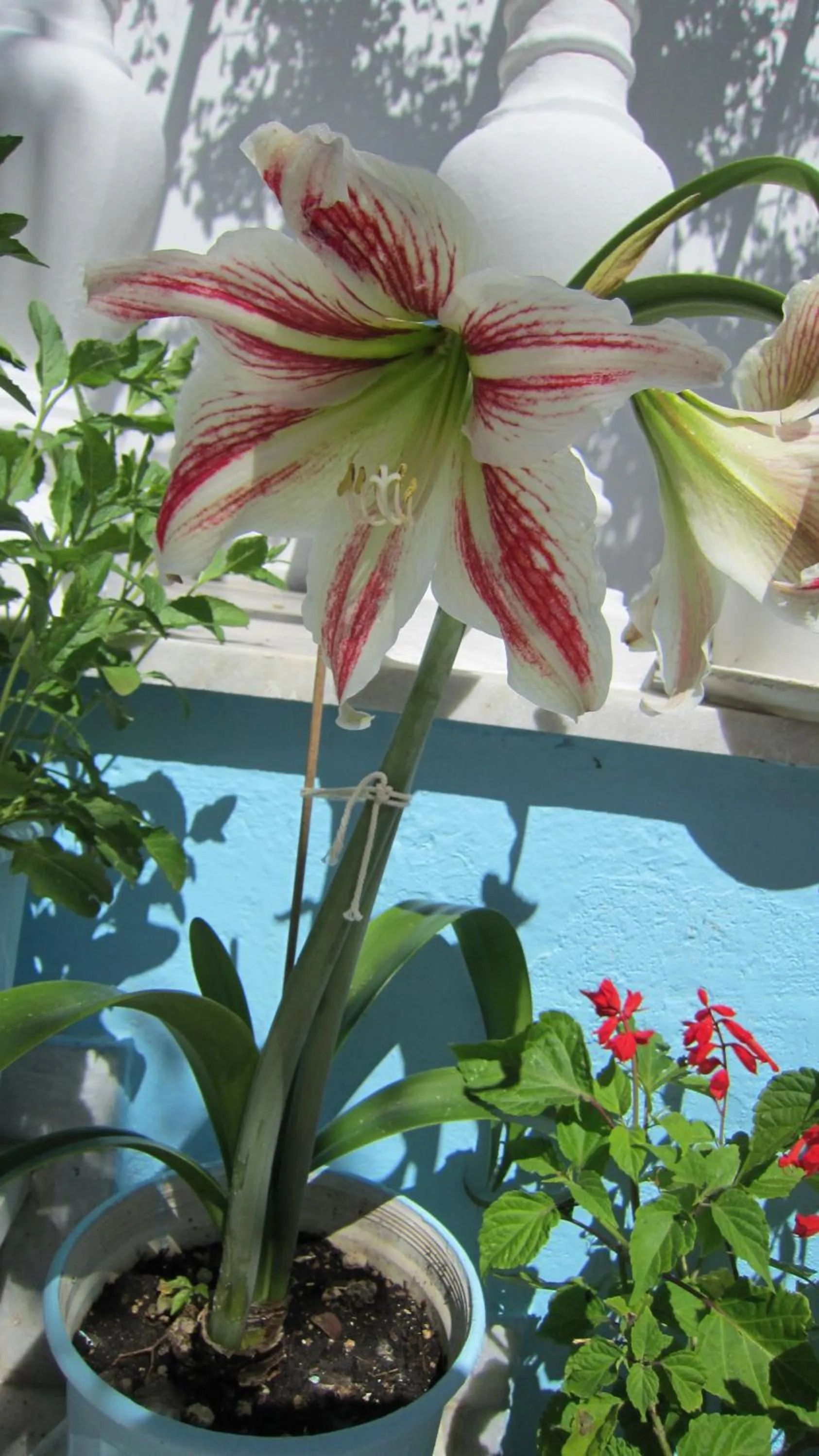 Other in Sandalis Hotel