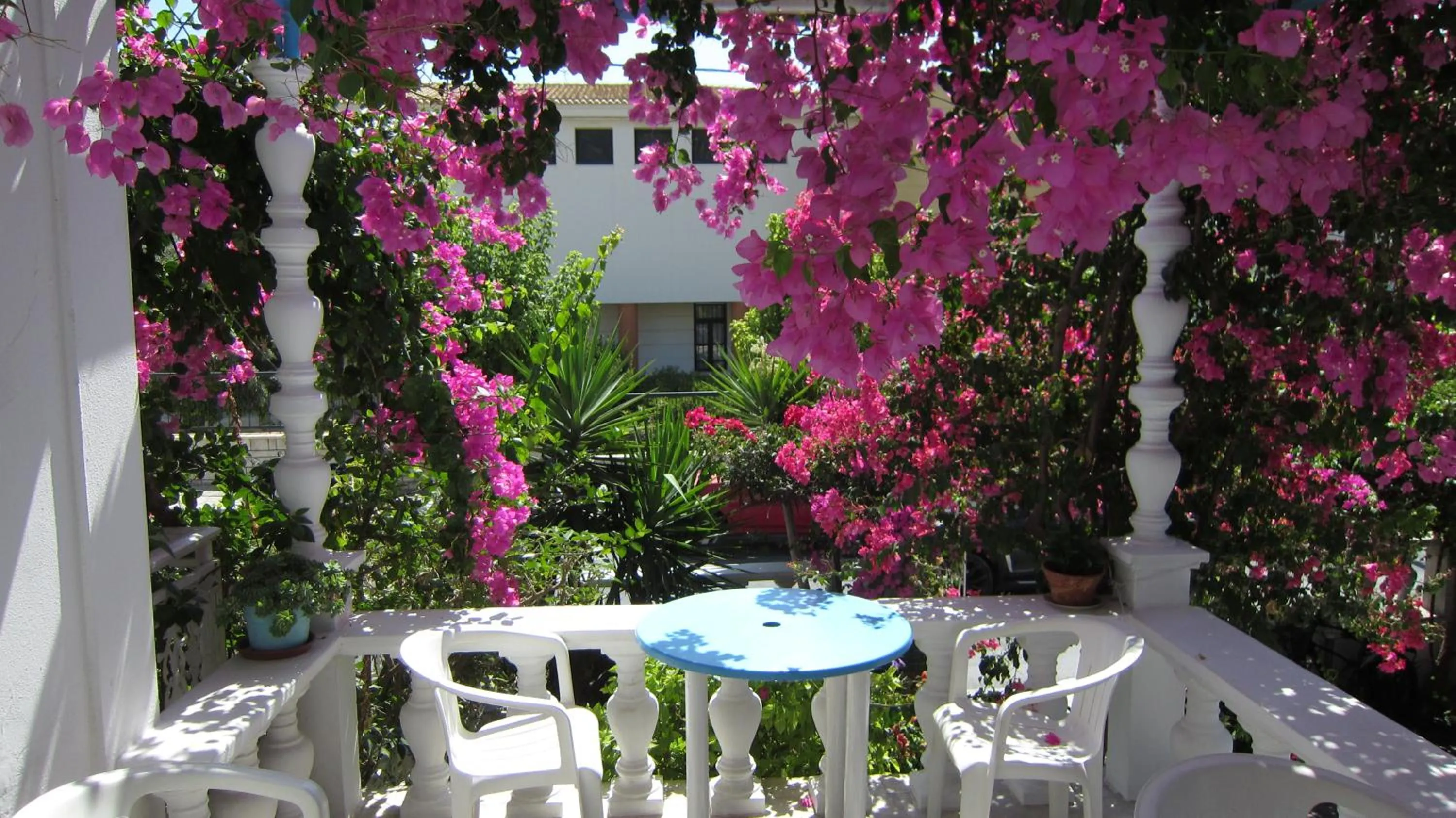 Breakfast in Sandalis Hotel