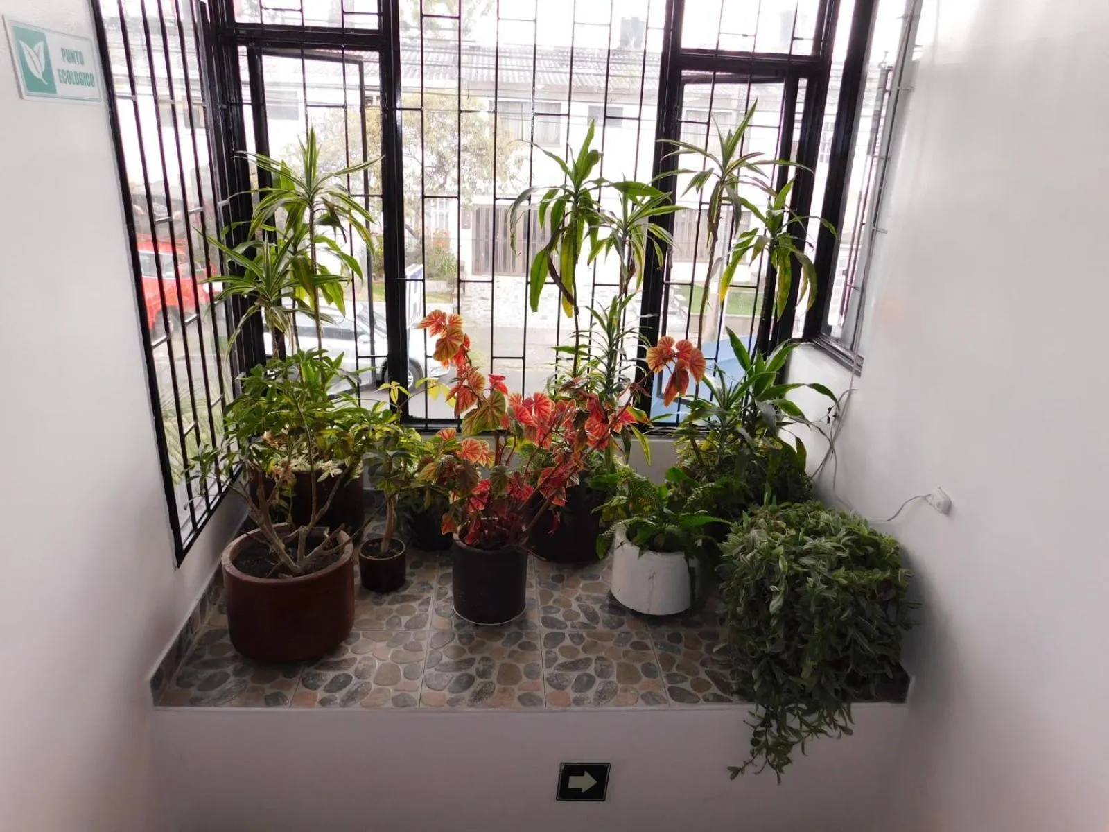 Garden view in Hotel Casa Navi