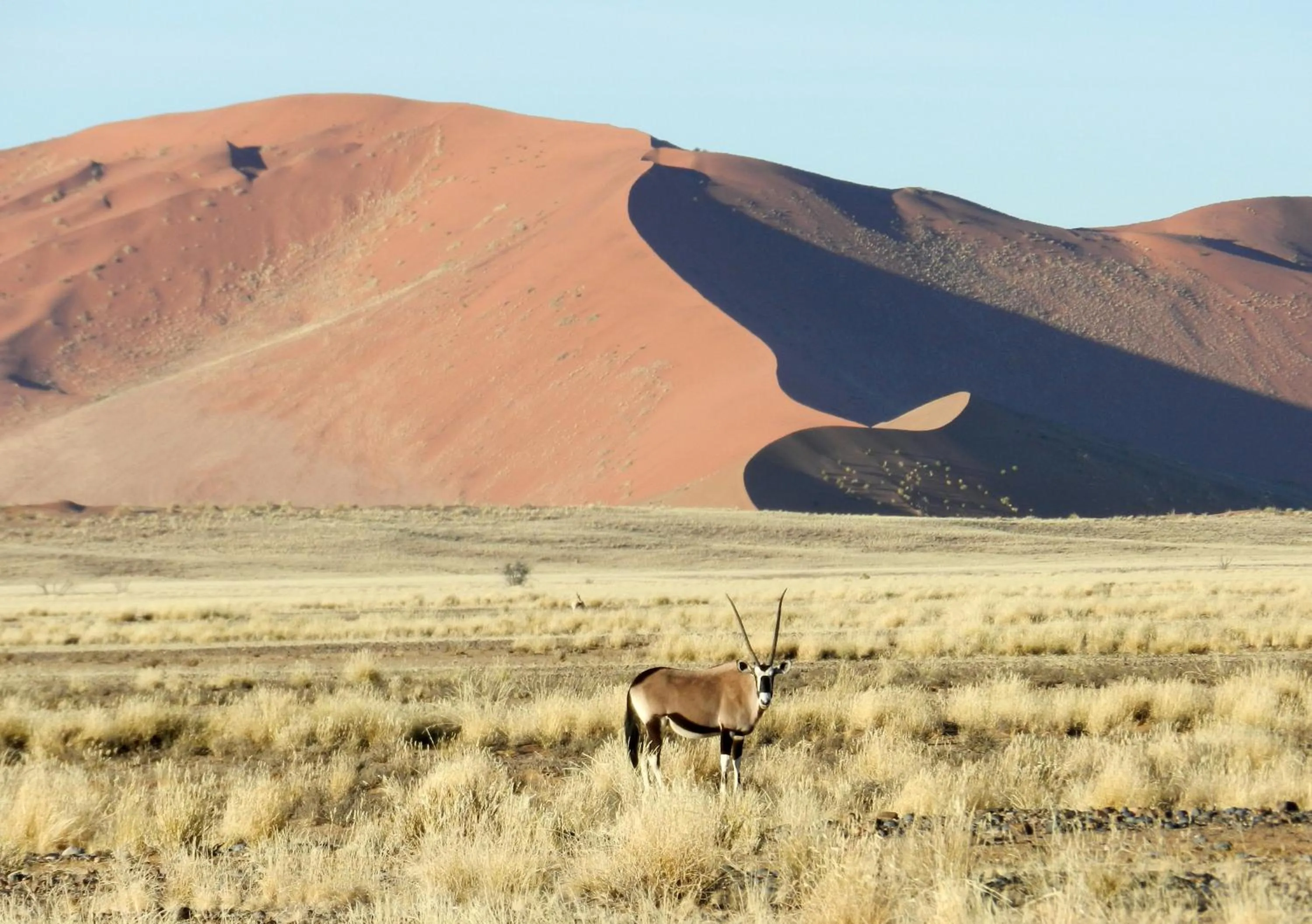 Area and facilities in Sossusvlei Lodge