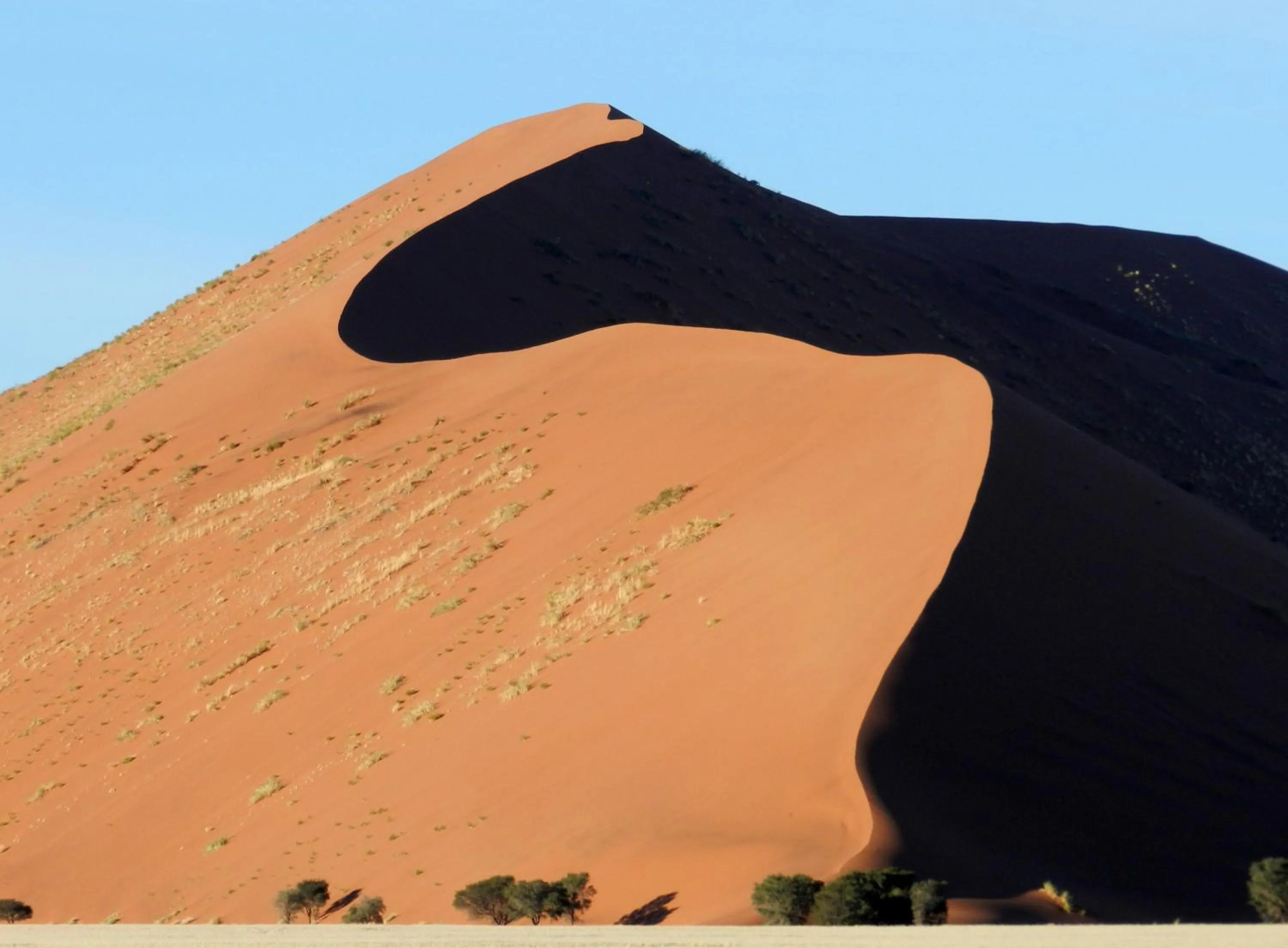 Area and facilities in Sossusvlei Lodge