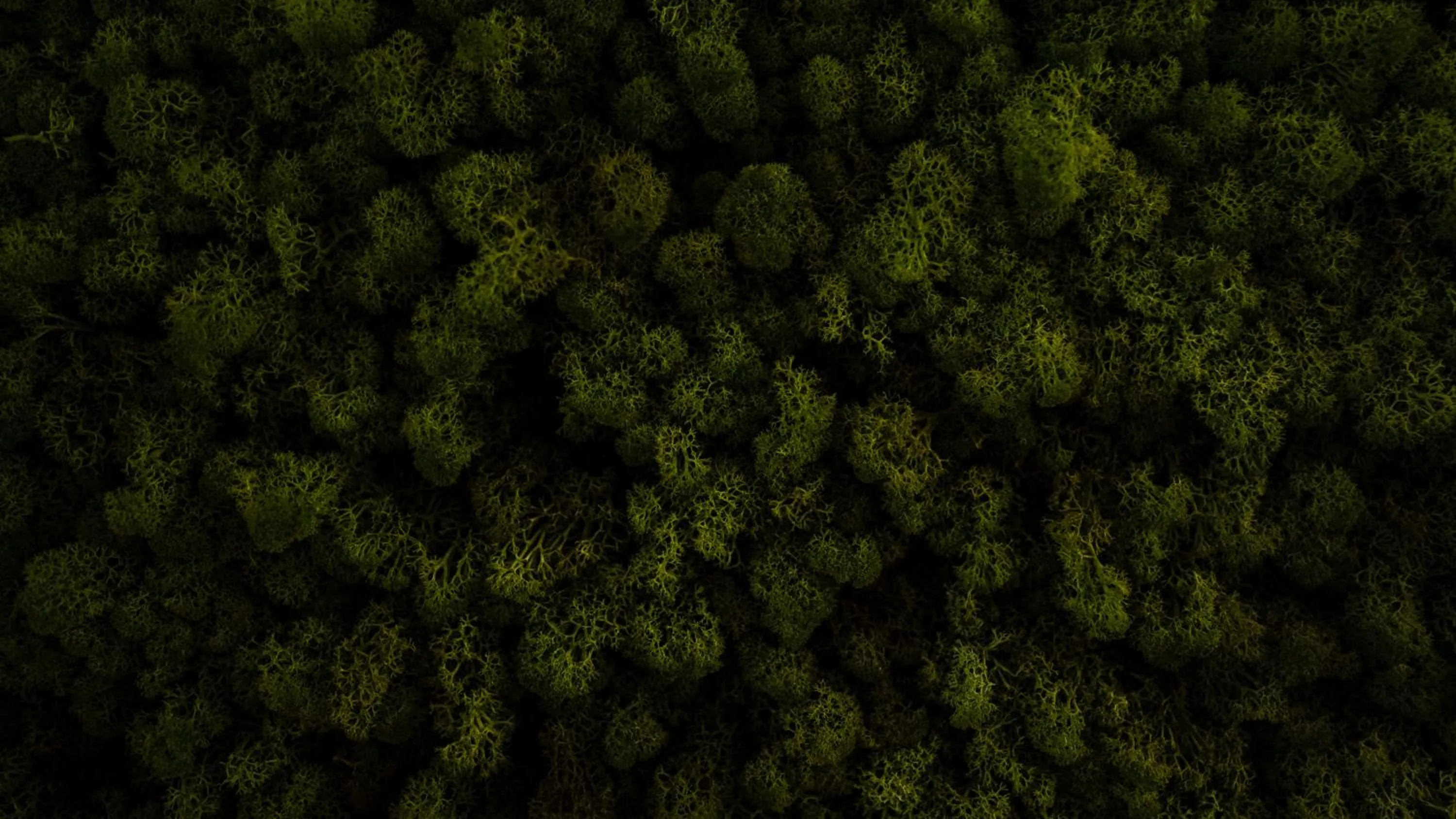 Decorative detail in Logement Overzee