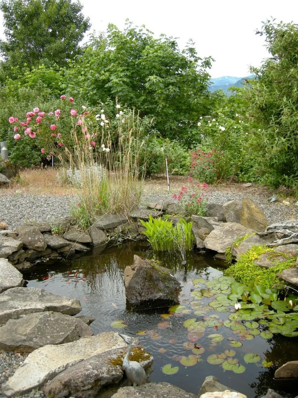 Area and facilities in Sunset Motel Hood River