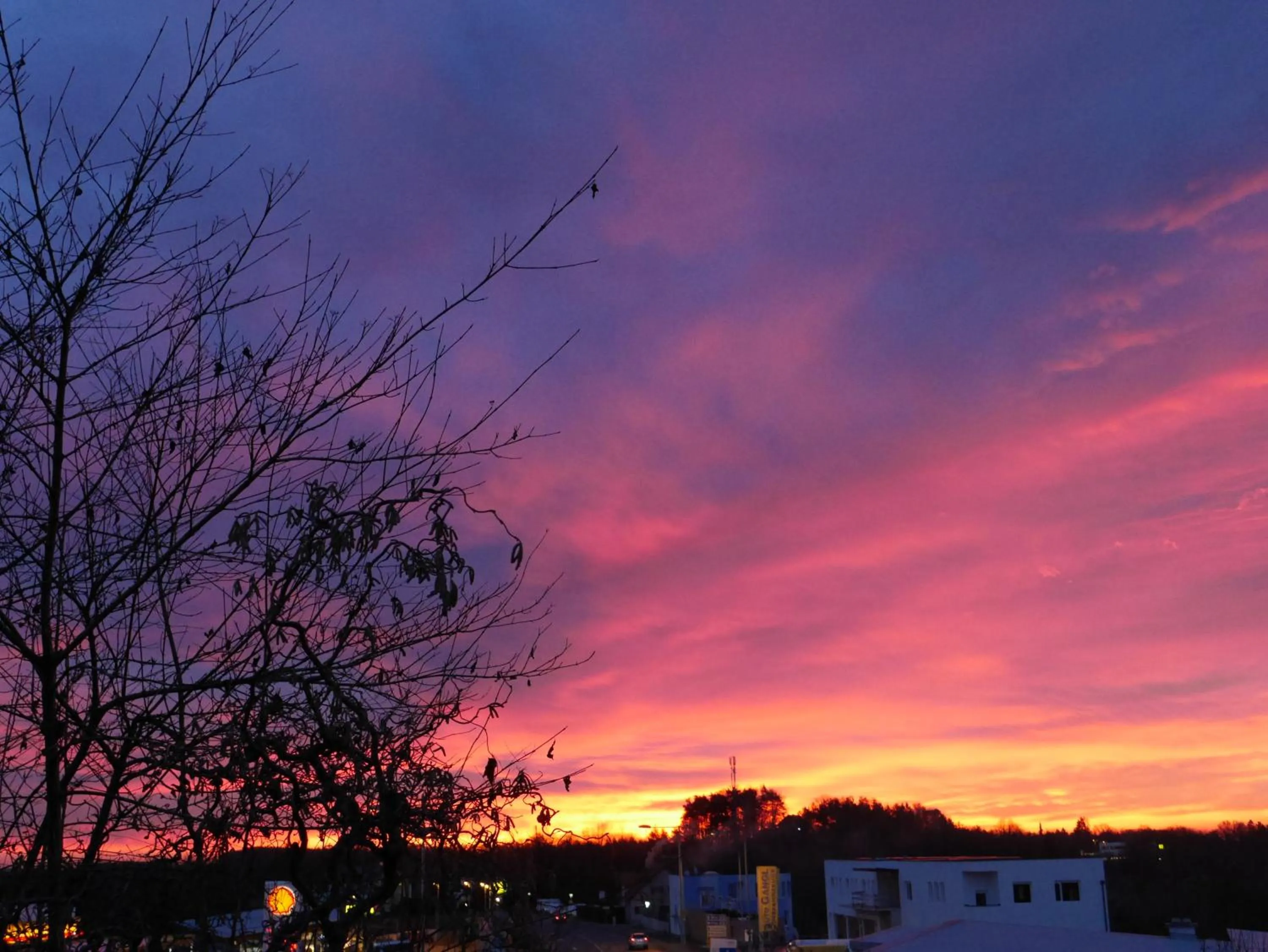 View (from property/room) in Hotel Garni Höchschmied