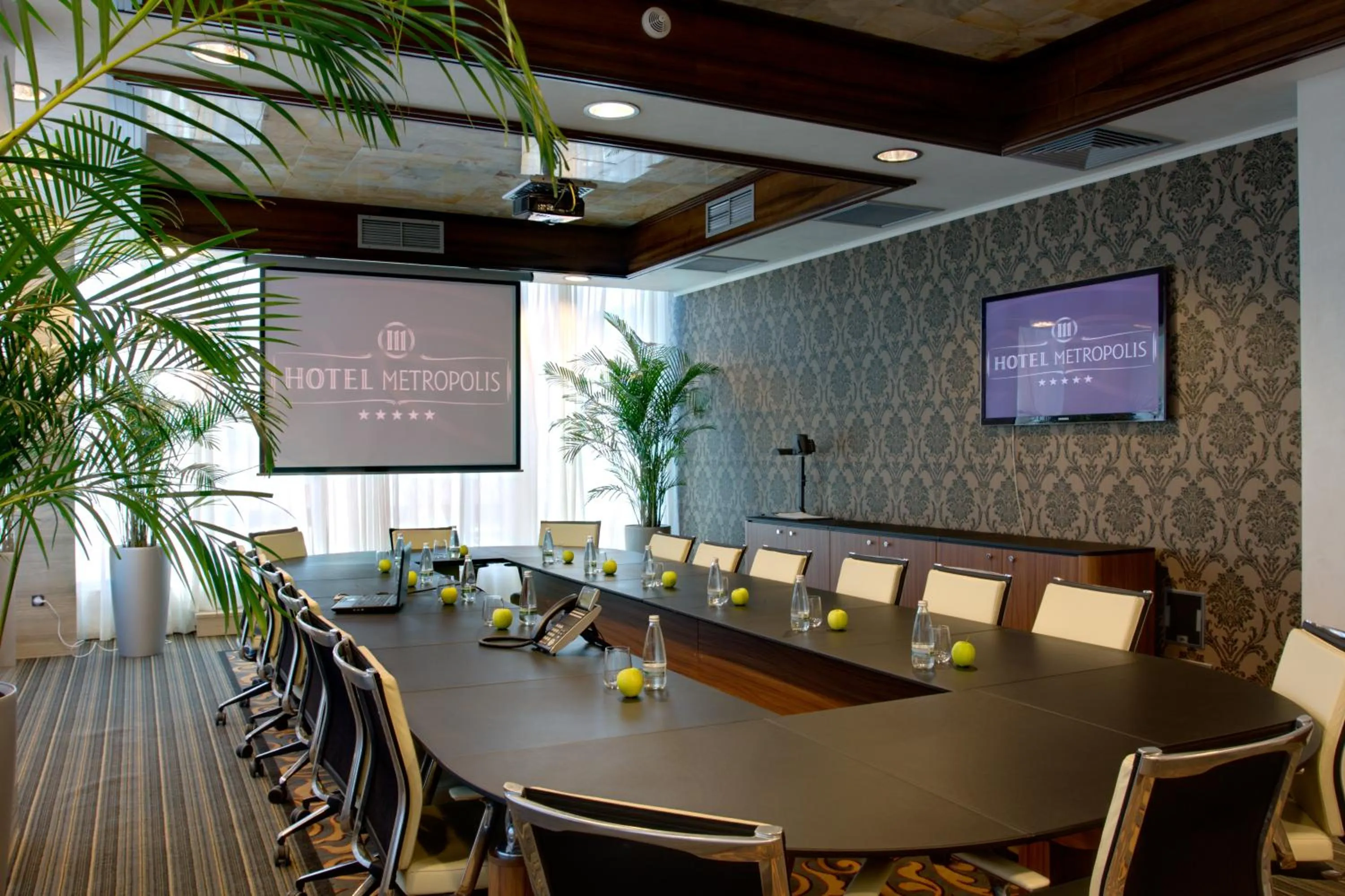 Business facilities in Metropolis Hotel