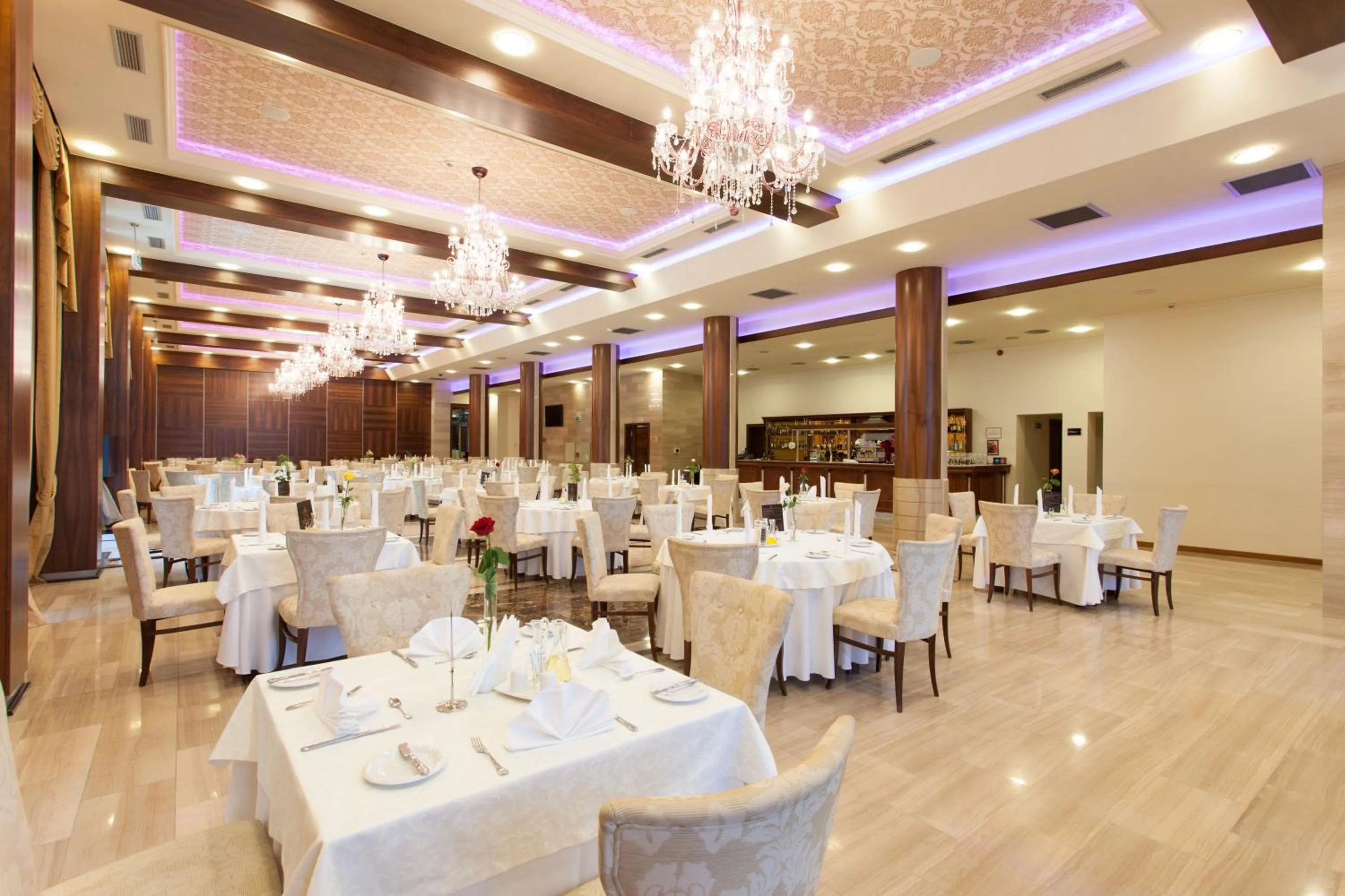 Restaurant/places to eat in Metropolis Hotel