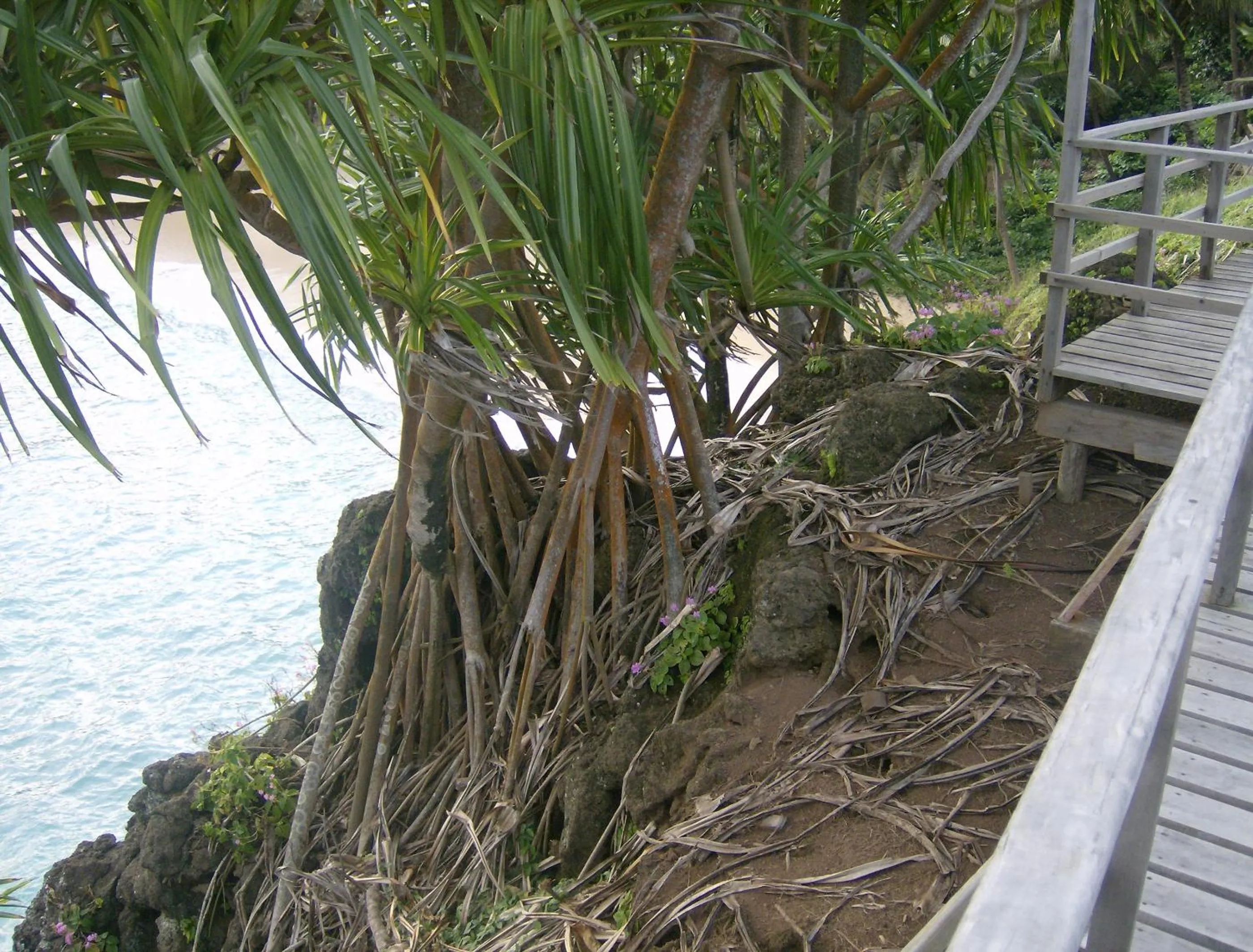 Property building in N`Guembú Nature Resort