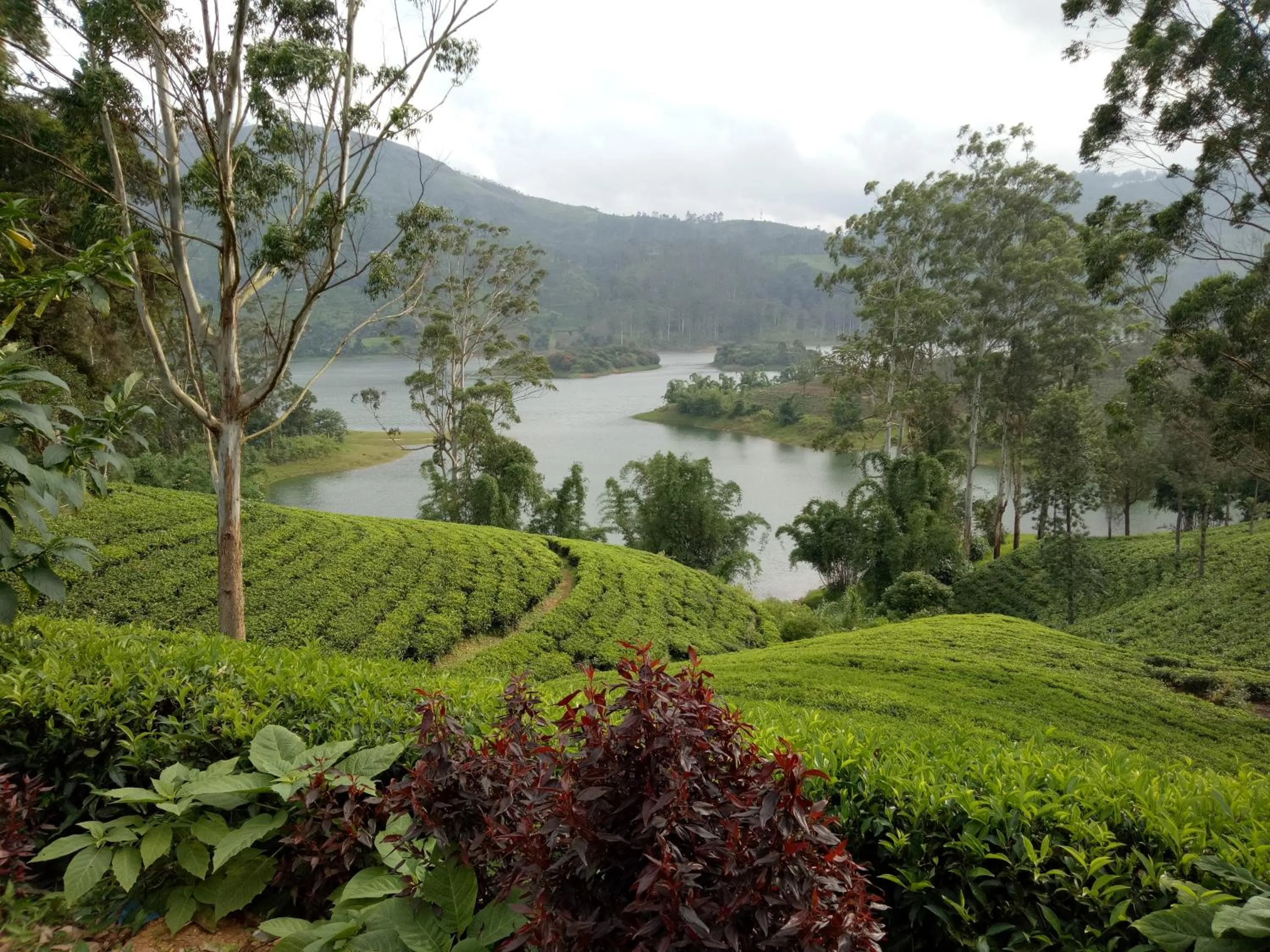 Homeaway Homestay Hatton