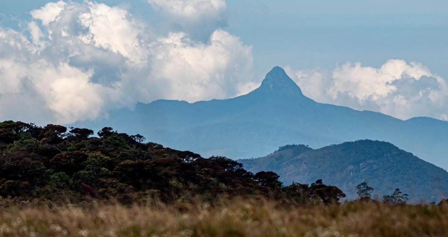 Homeaway Homestay Hatton