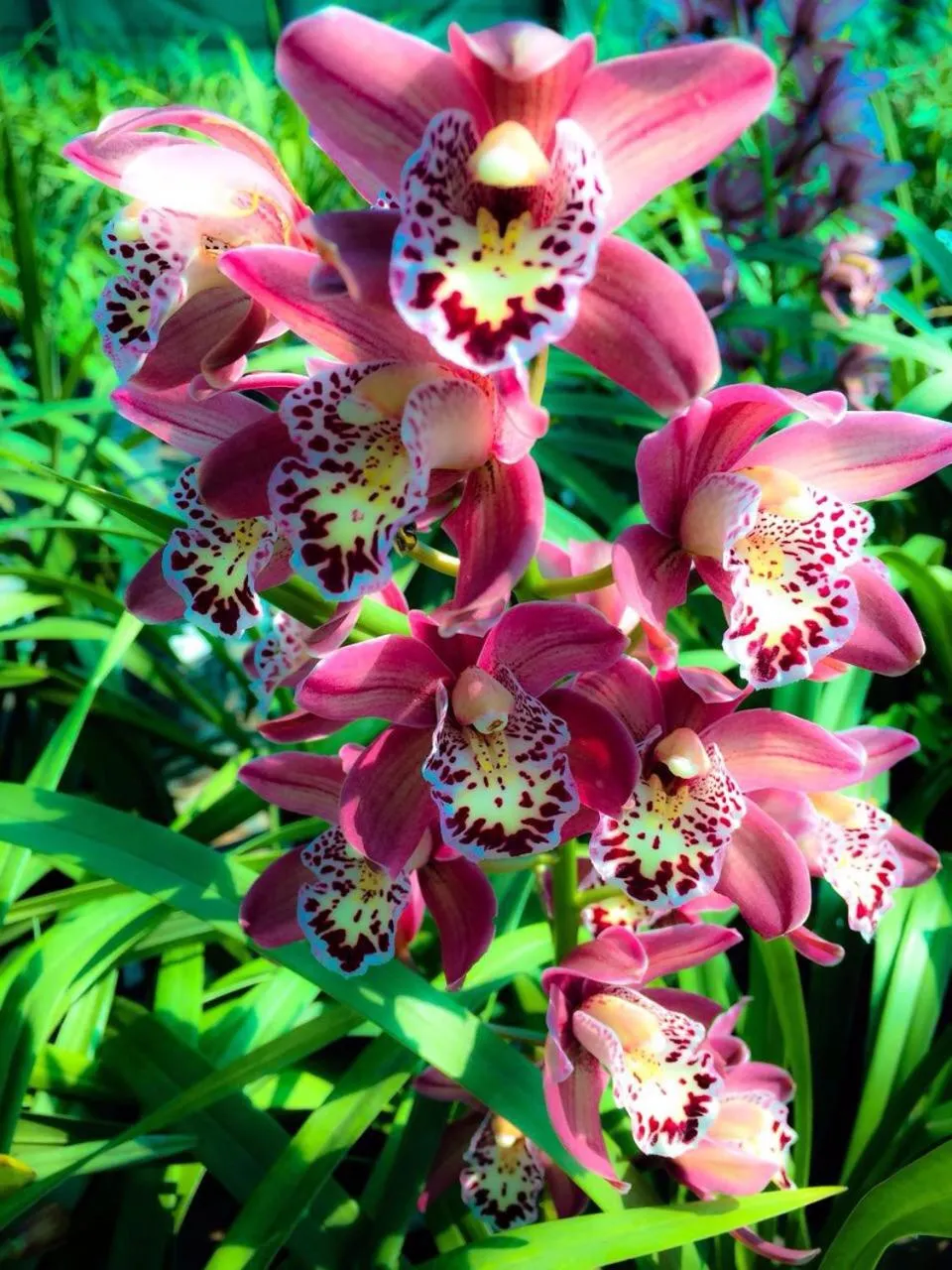 Garden view in La Rive Waterberg Accommodation