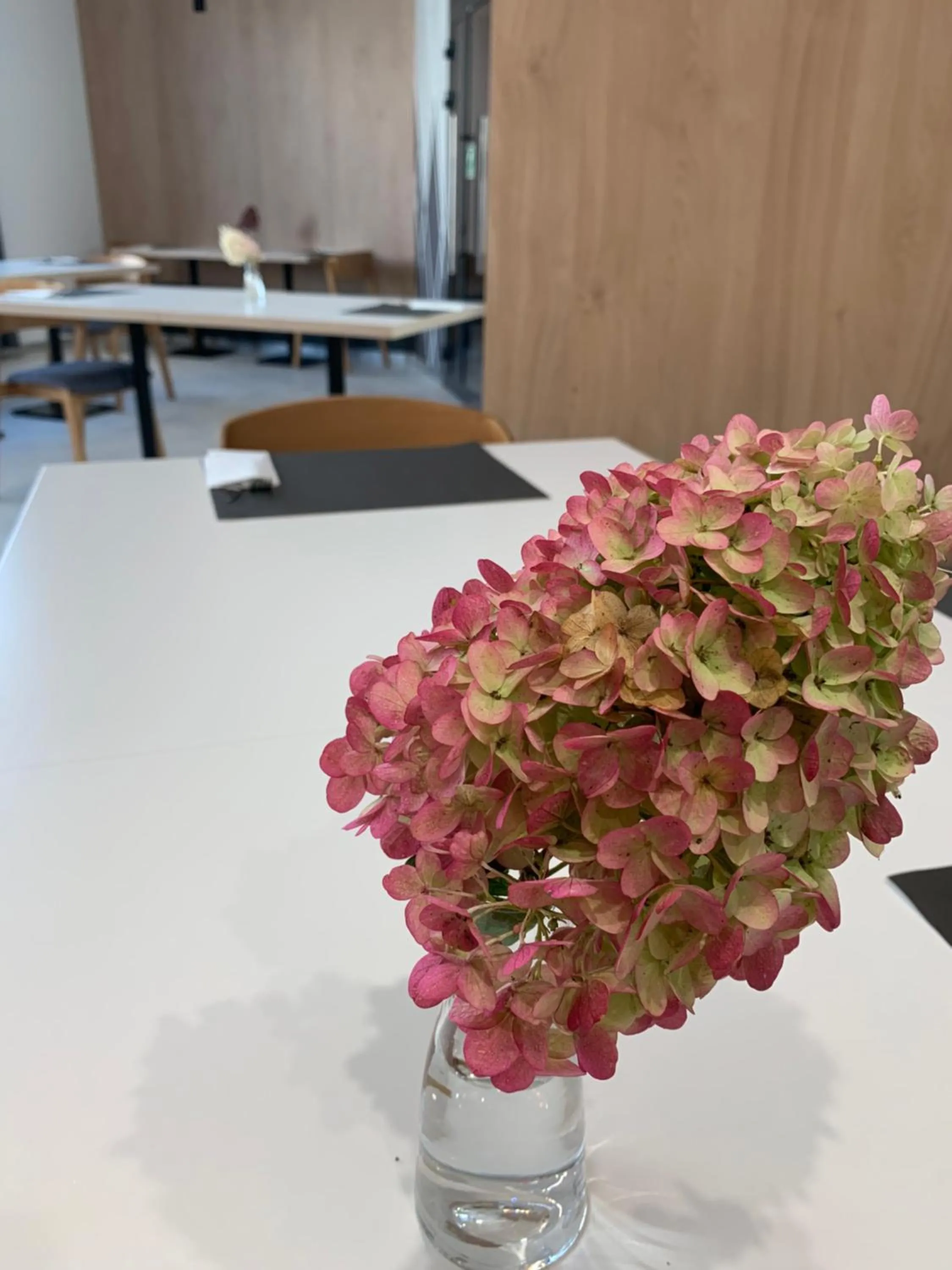 Breakfast in Hotel Coliber