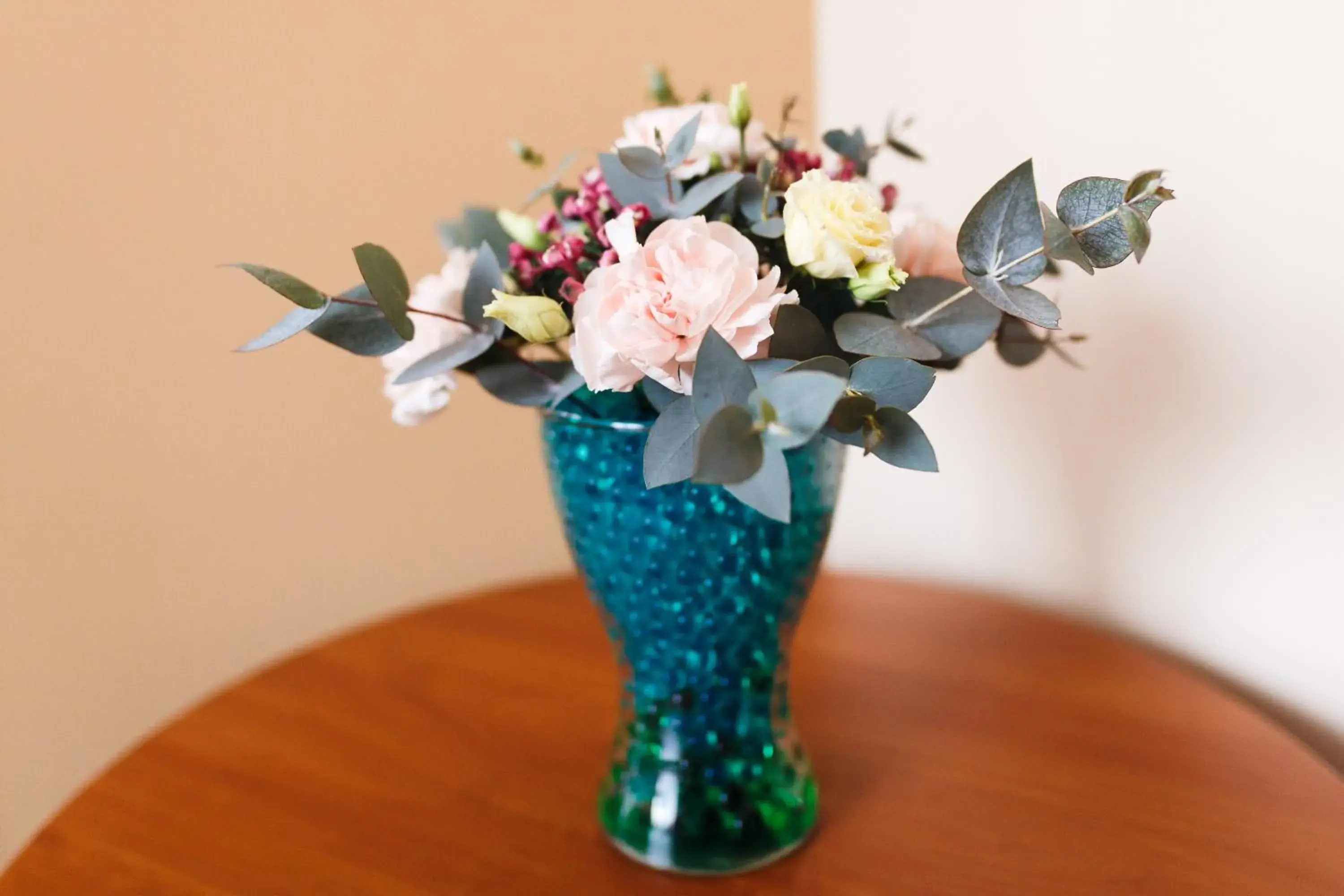 Standard Single Room - single occupancy in Villa Plaza Standard Single Room - single occupancy in Villa Plaza