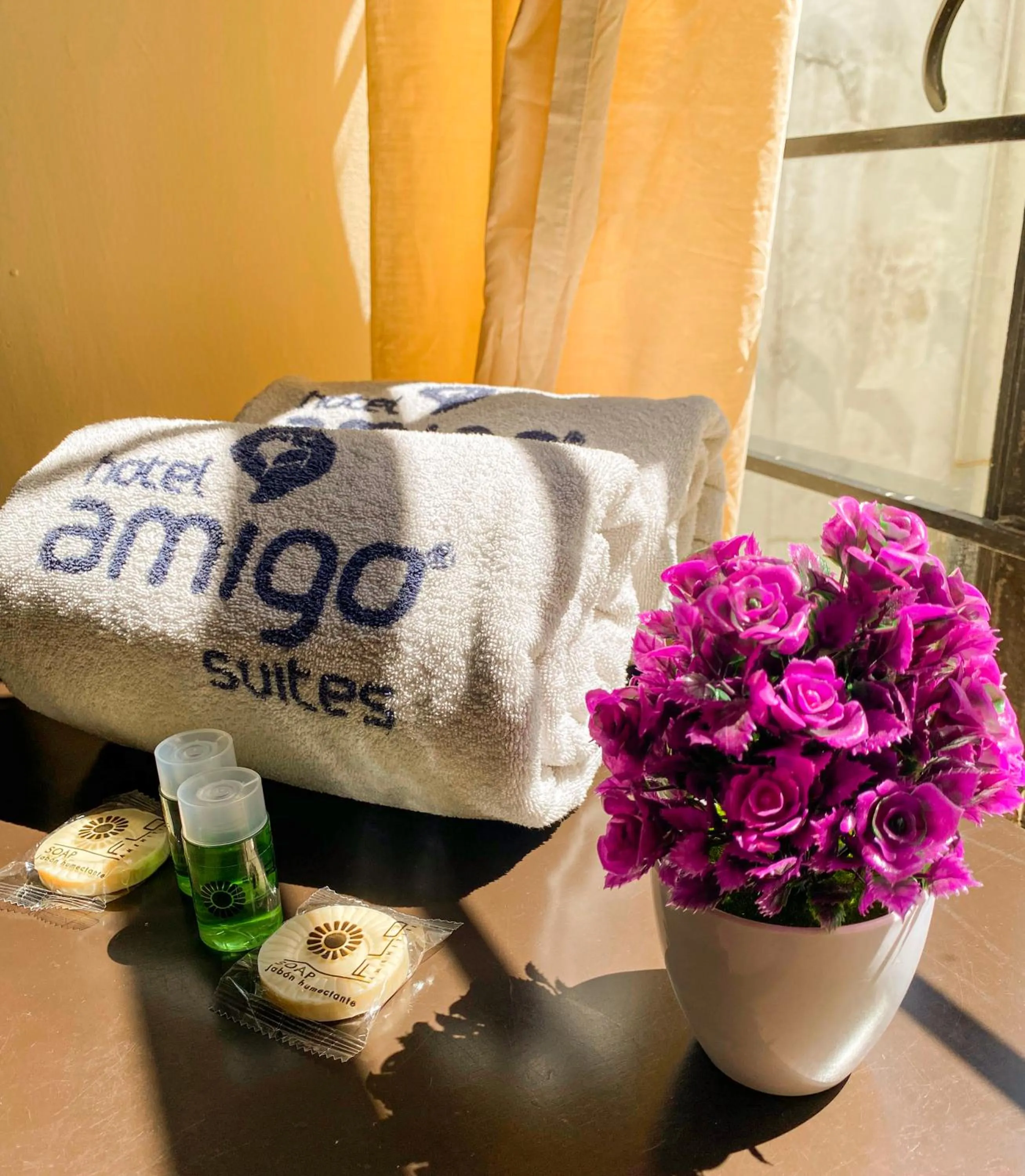 Hotel Amigo Suites