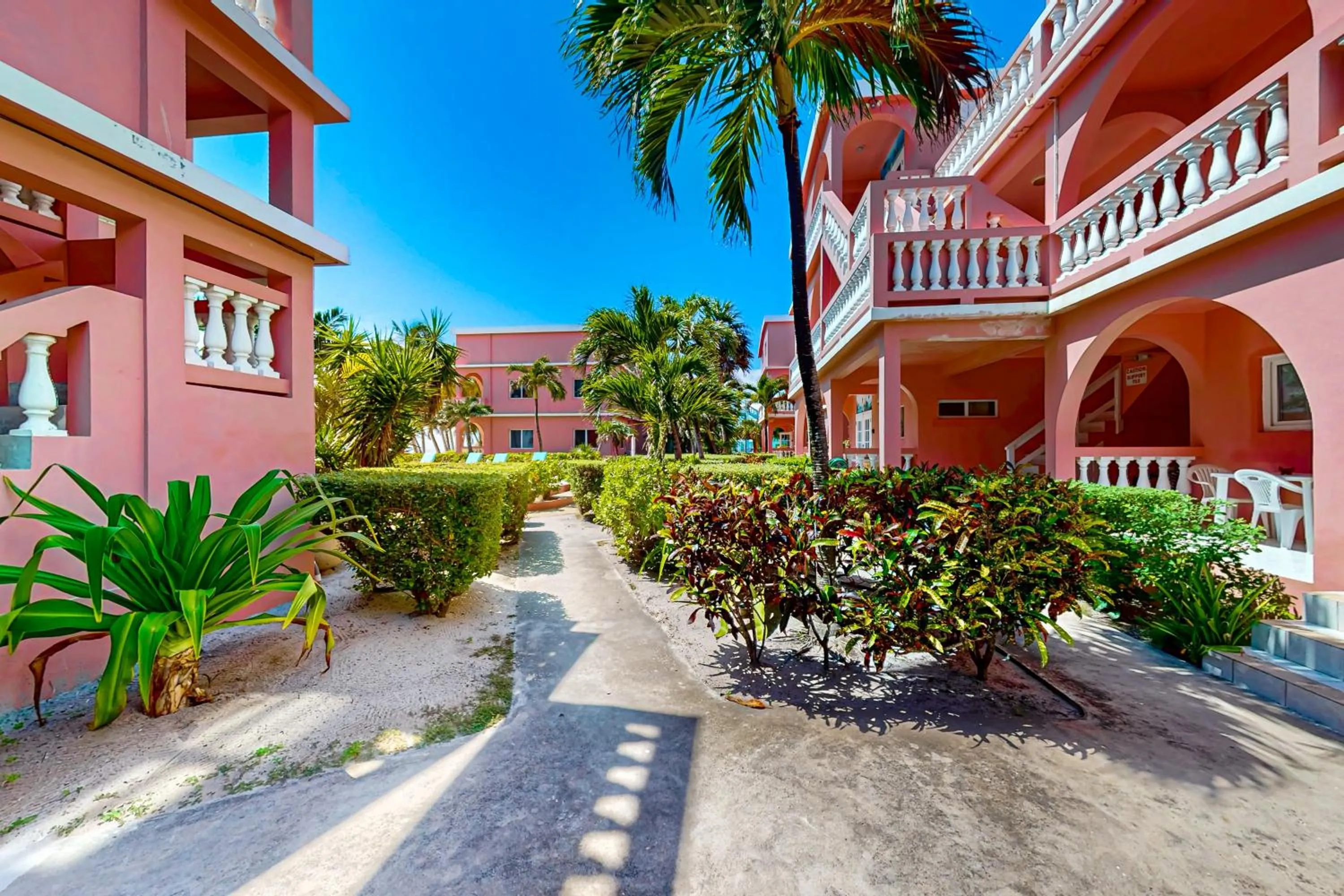 Hibiscus @ Caribe Island