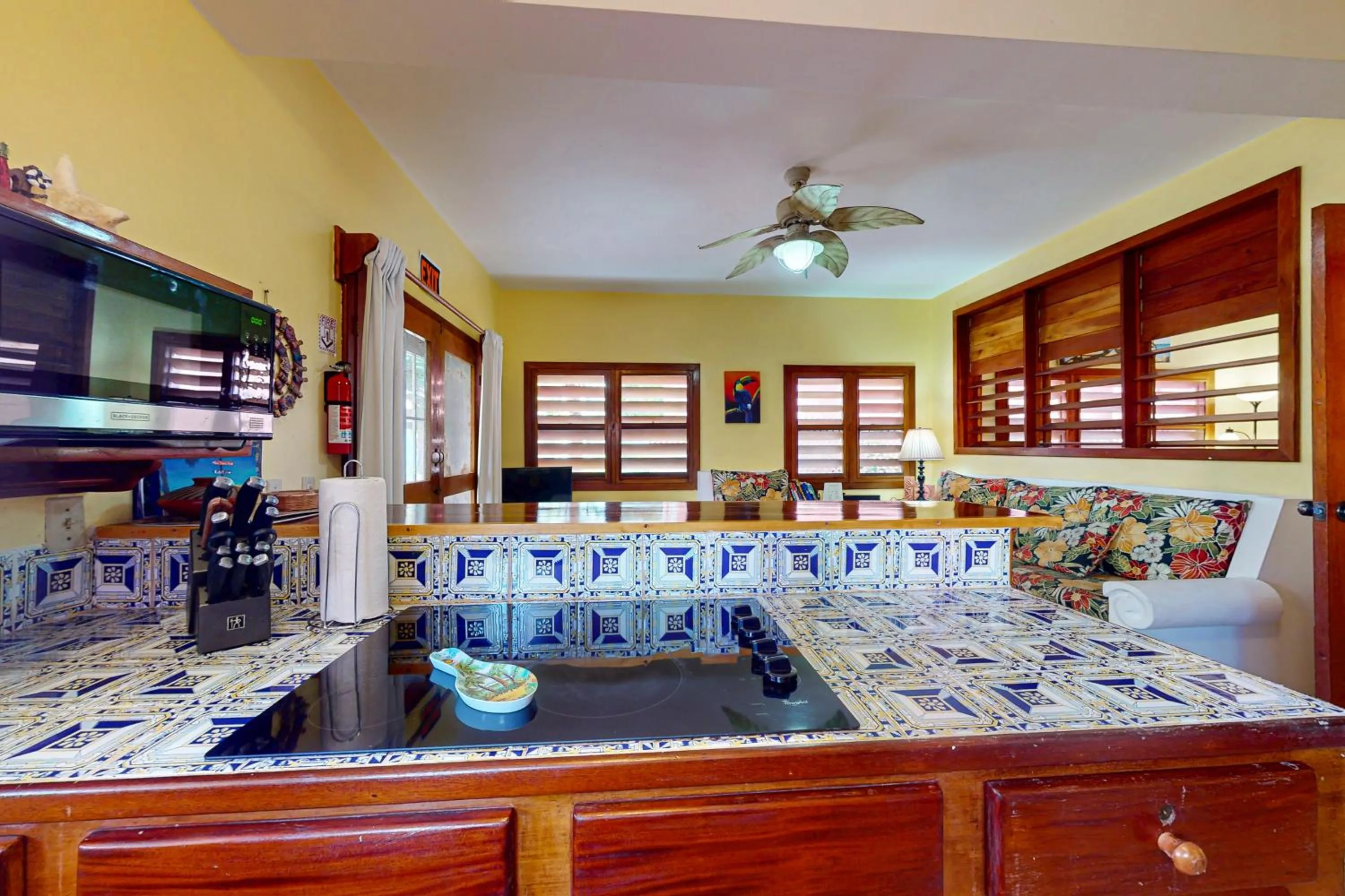 Hibiscus @ Caribe Island