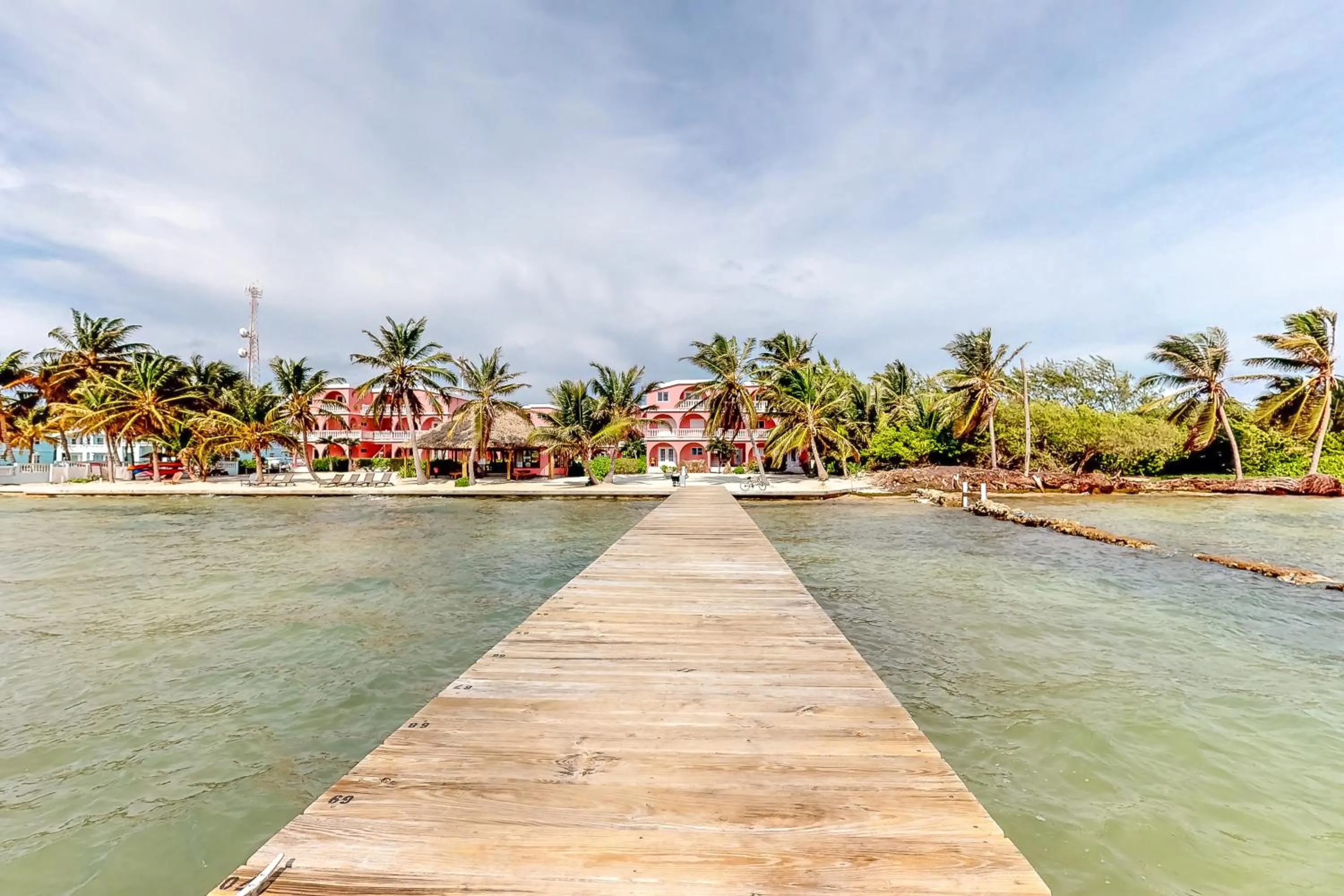 Hibiscus @ Caribe Island