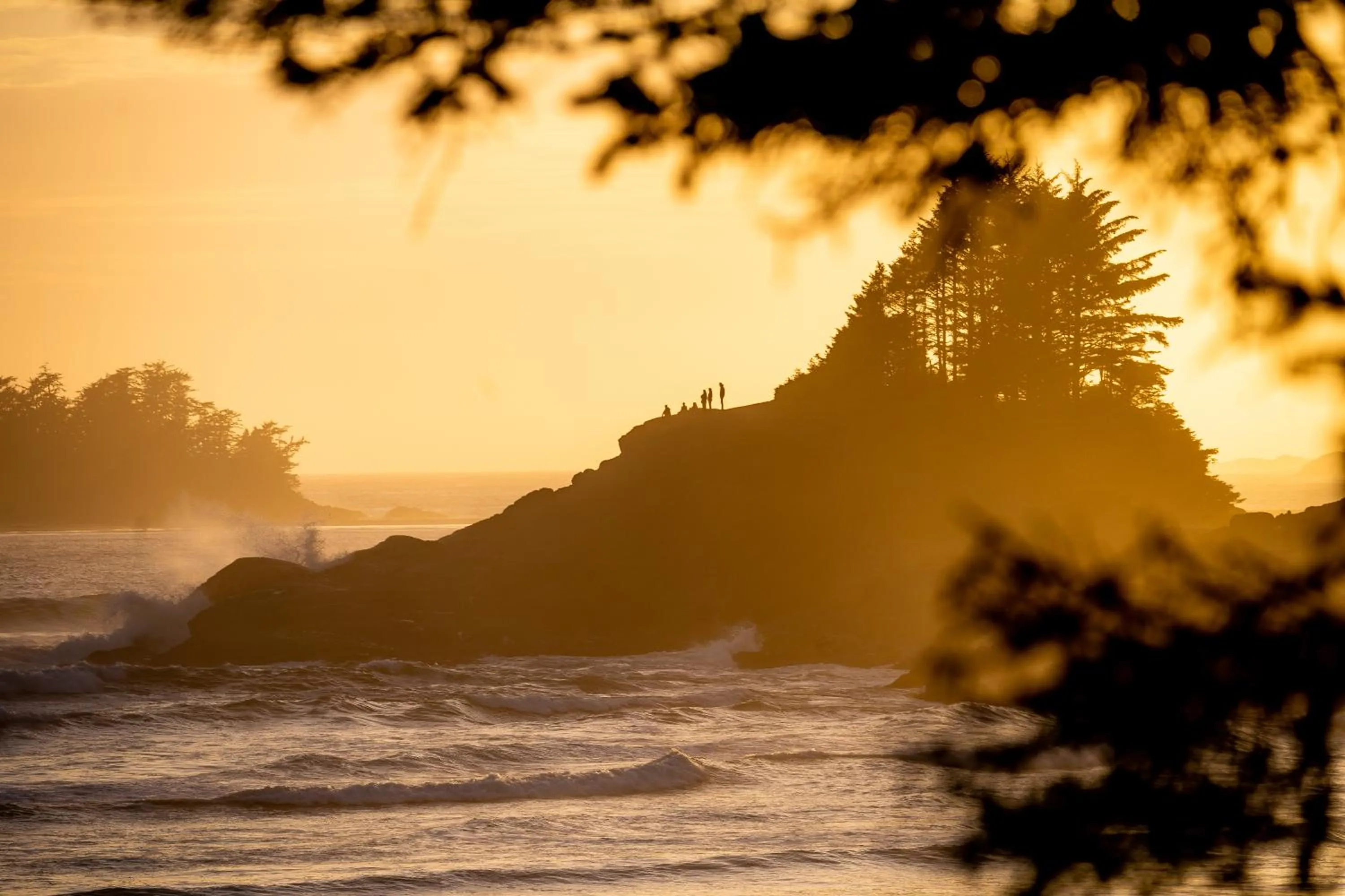 Natural landscape in Long Beach Lodge Resort