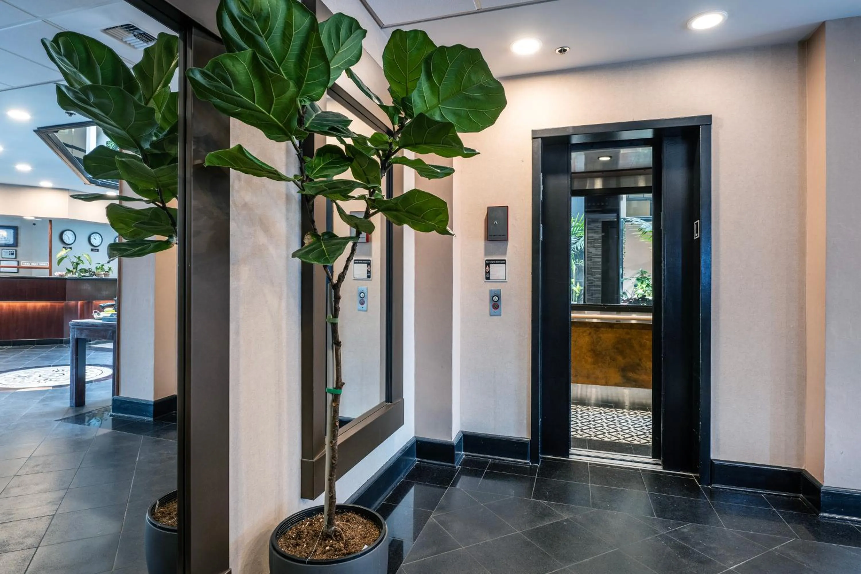 Lobby or reception in Hotel International