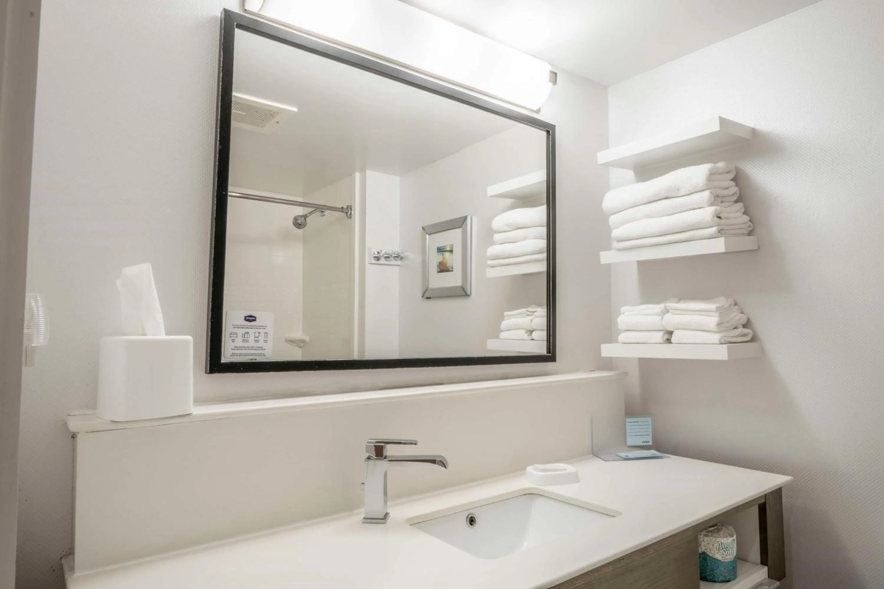 Bathroom in Hampton Inn Jacksonville South/I-95 at JTB