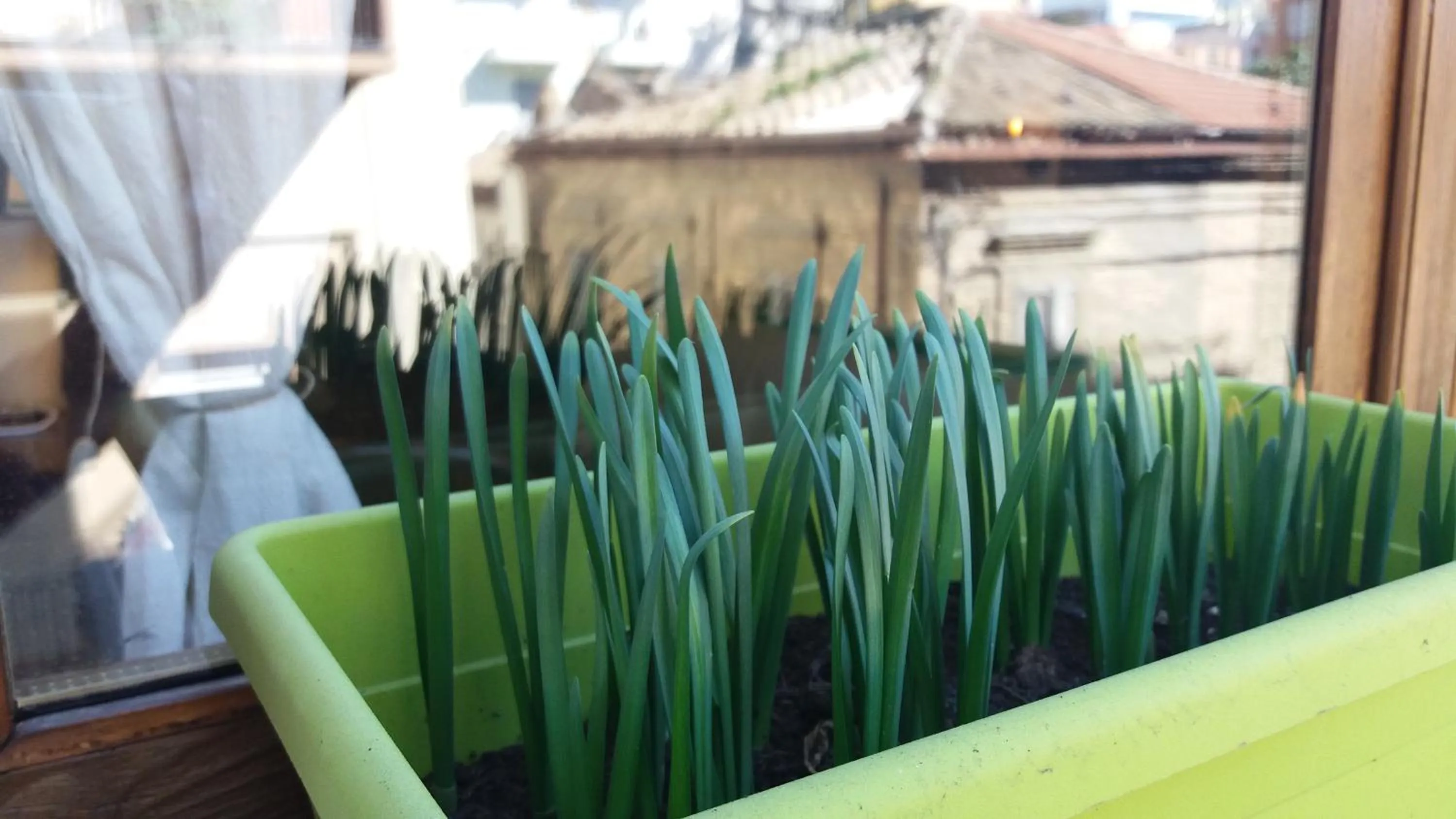 Decorative detail in Le stanze di Bruno