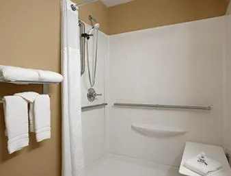 Shower in Microtel Inn & Suites By Wyndham Mineral Wells/Parkersburg