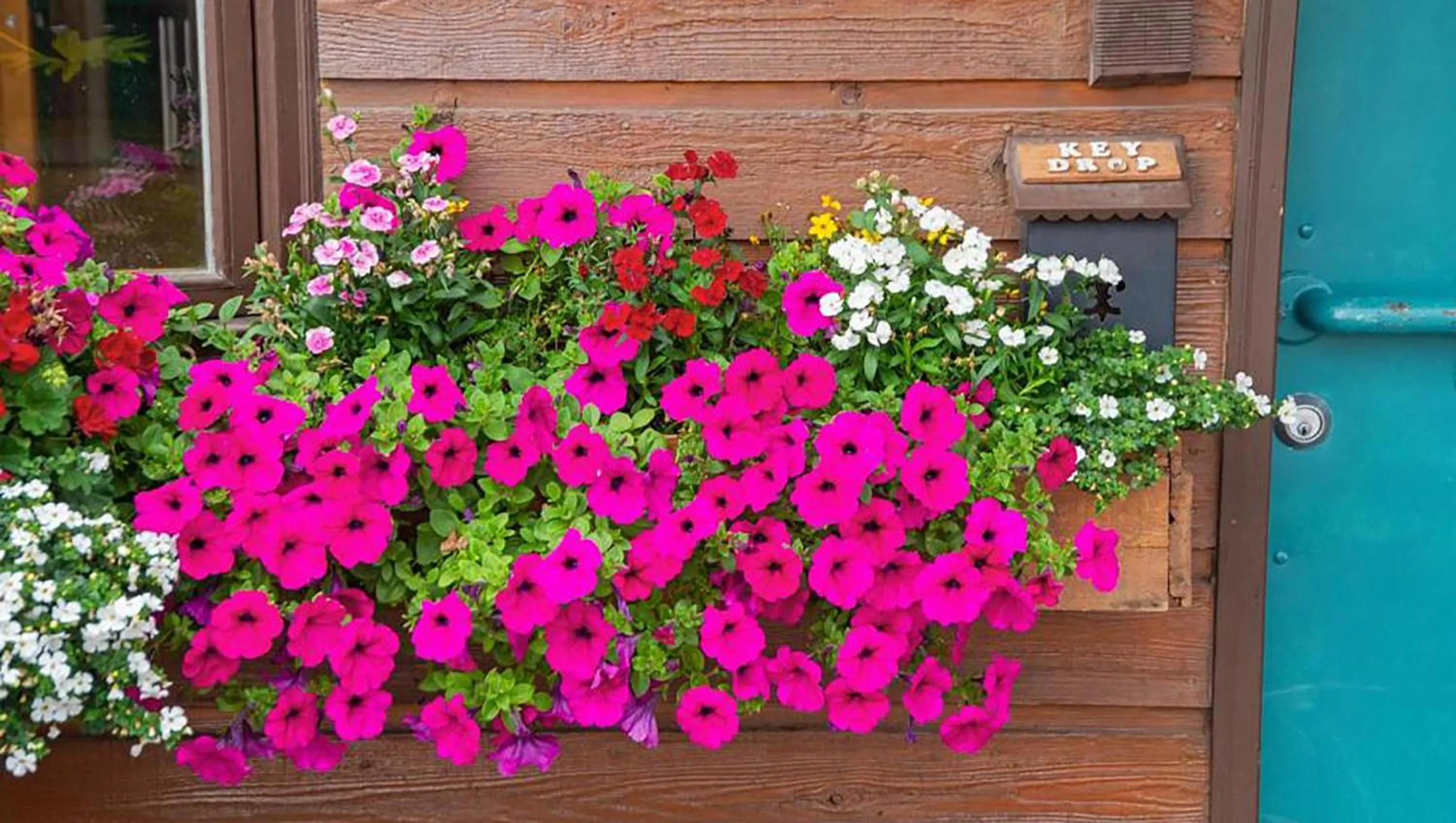 Property building in Big Horn Lodge