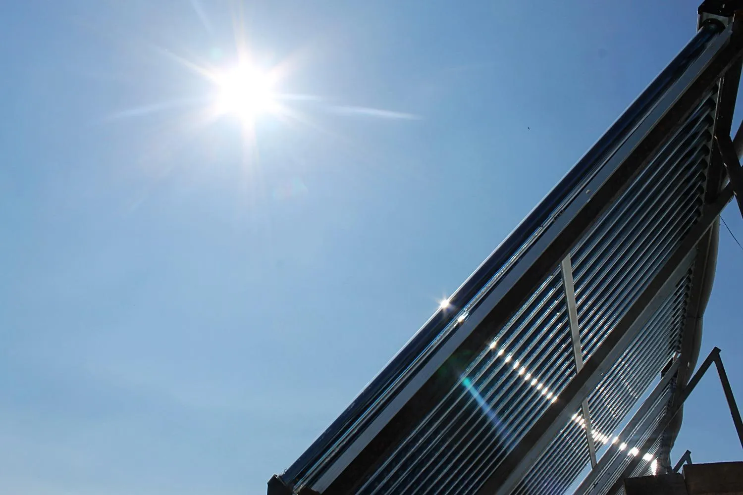 Spring in Olive Hotel Bishkek