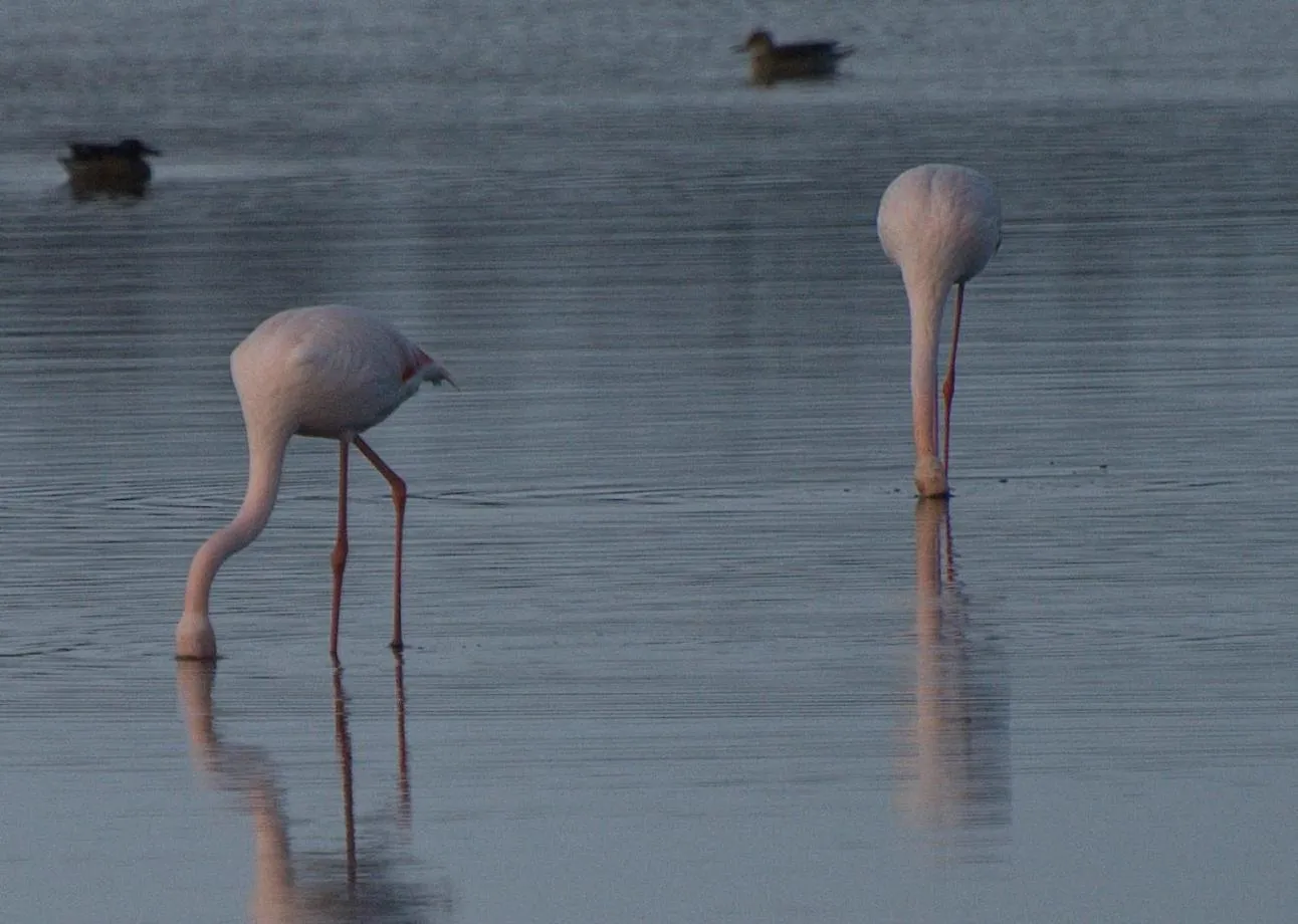 Activities in B&B La Pineta