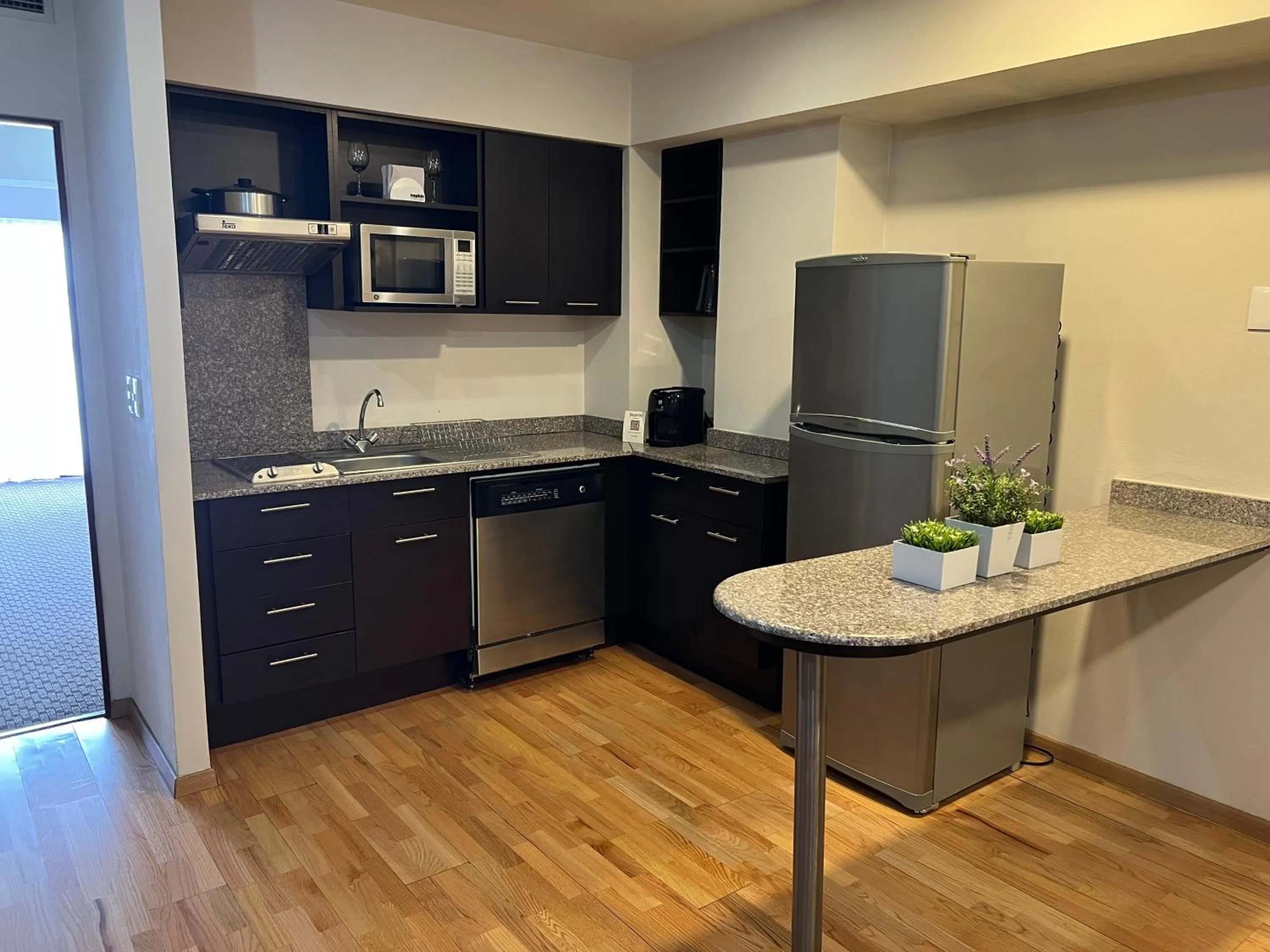 Deluxe One-Bedroom Apartment in St Isidro Suites Corporate Housing SPA & Wellness Center