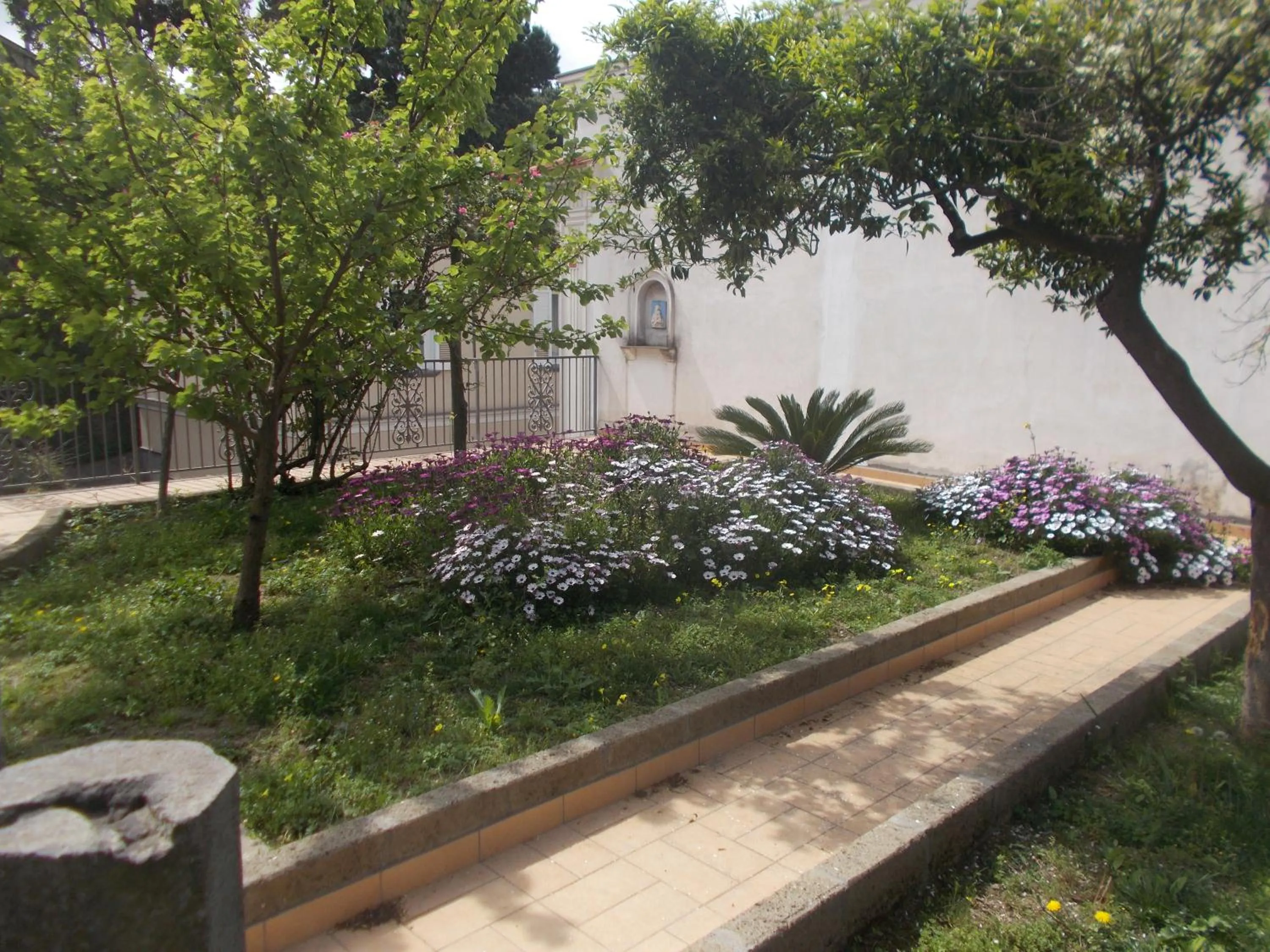 Garden view in Domus Liberty