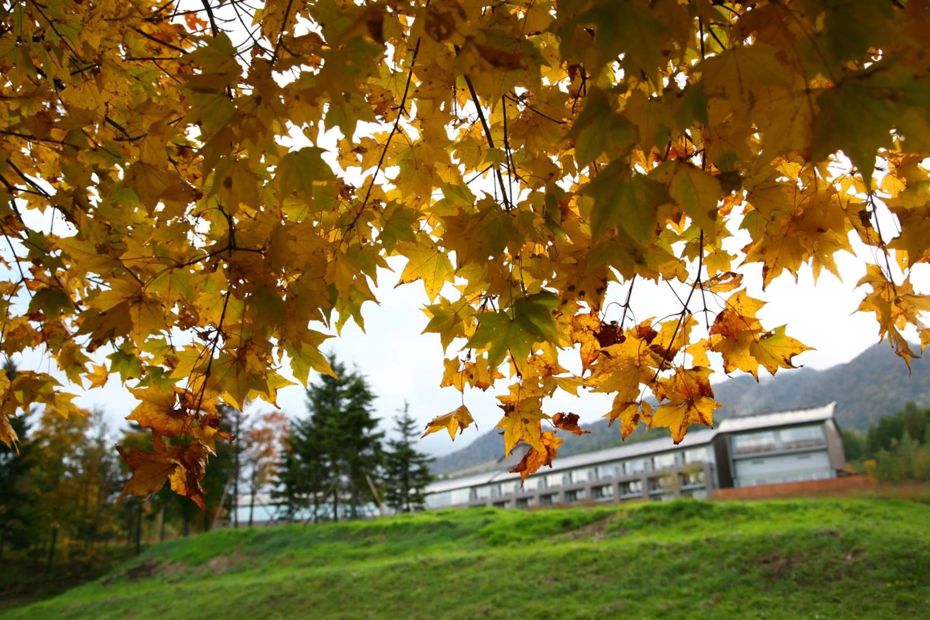 Facade/entrance in Furano Hotel