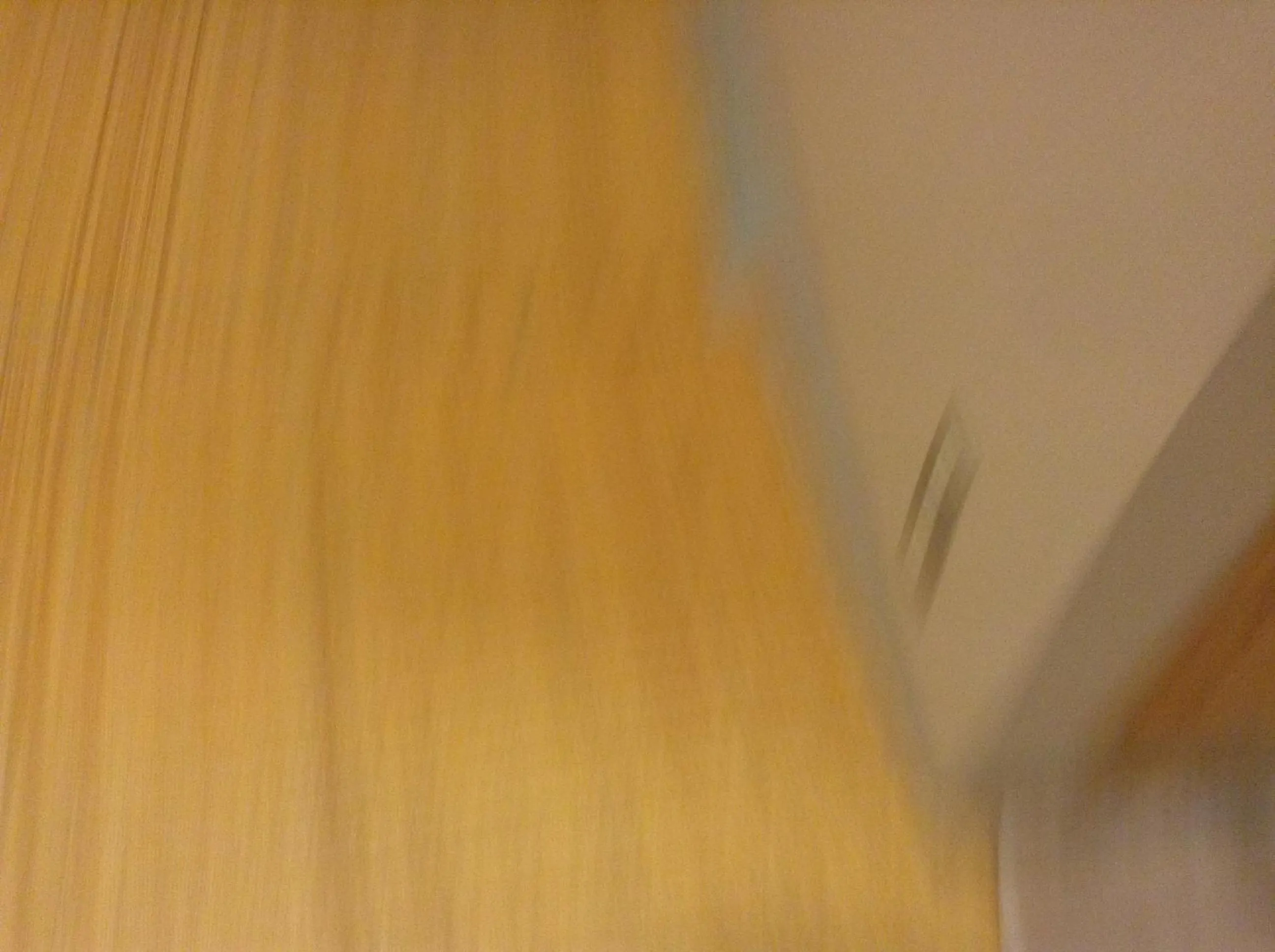 Other in Furano Hotel