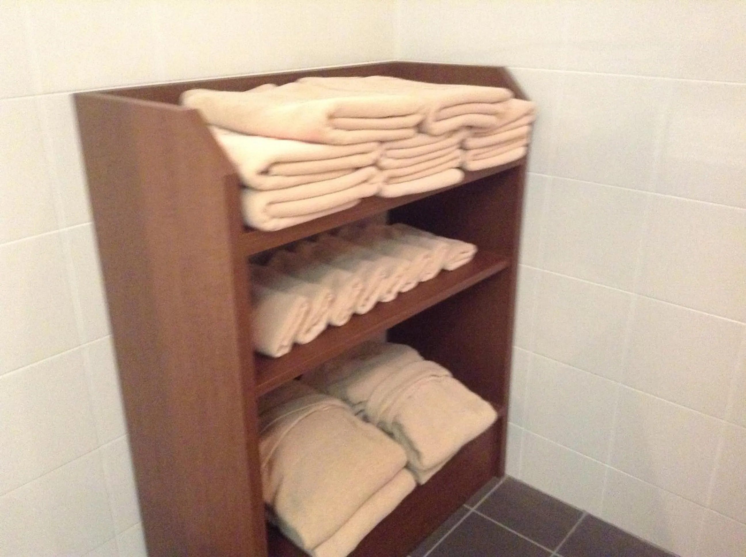 Spa and wellness centre/facilities in Furano Hotel