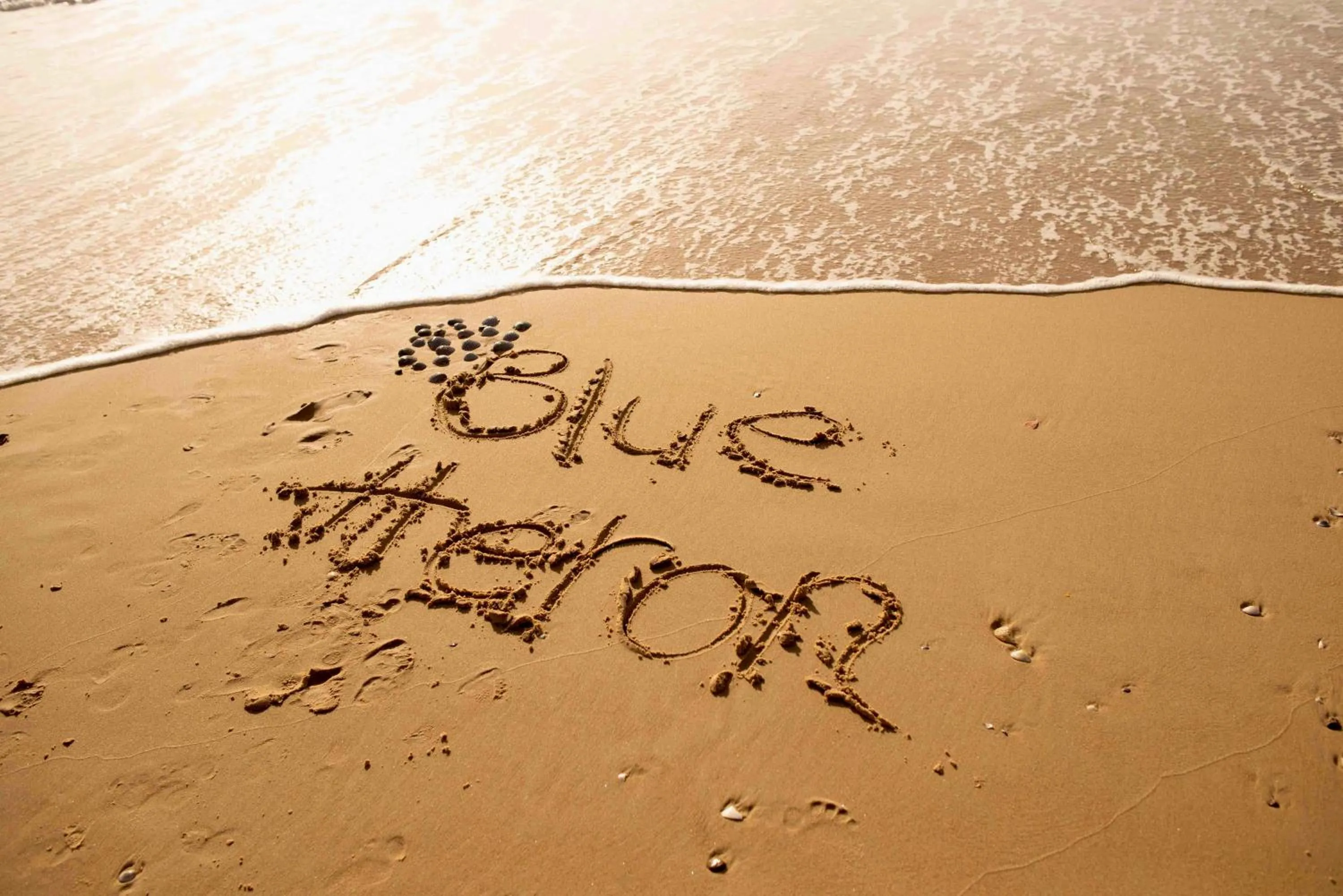 Beach in Blue Heron Boutique Motel