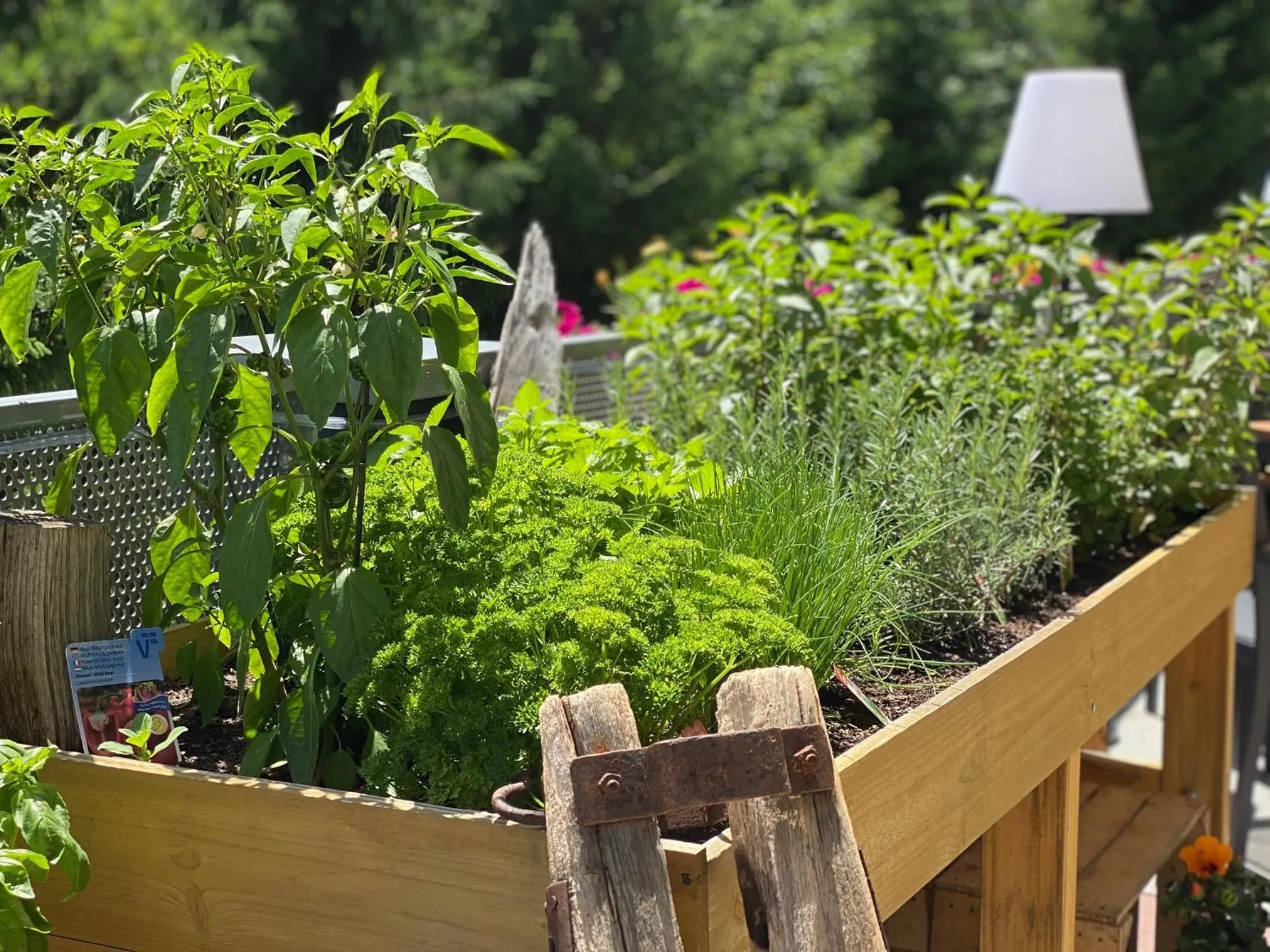 Balcony/Terrace in Hotel Residenz Hochalm - SKI IN -SKI OUT
