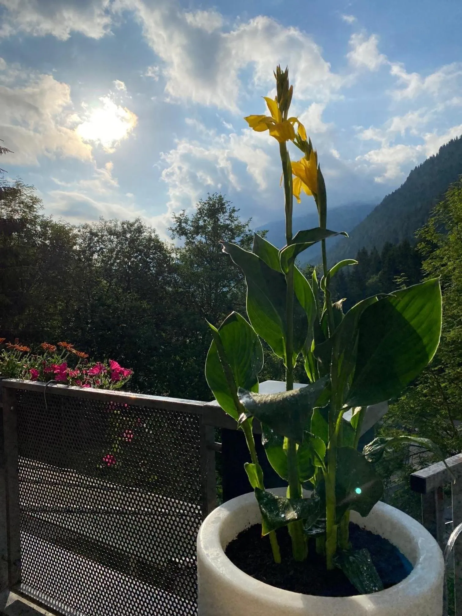 Hotel Residenz Hochalm - SKI IN -SKI OUT