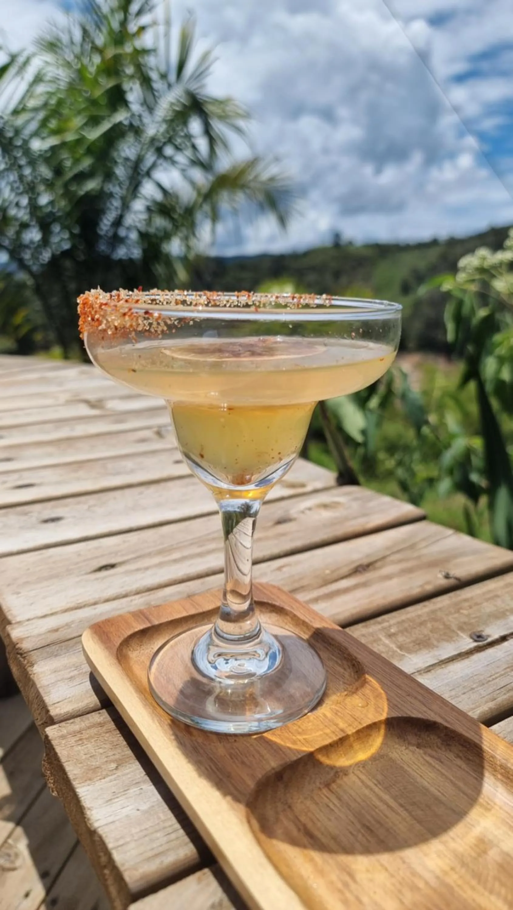 Lounge or bar in Levit Glamping - Hotel Guatapé Peñol