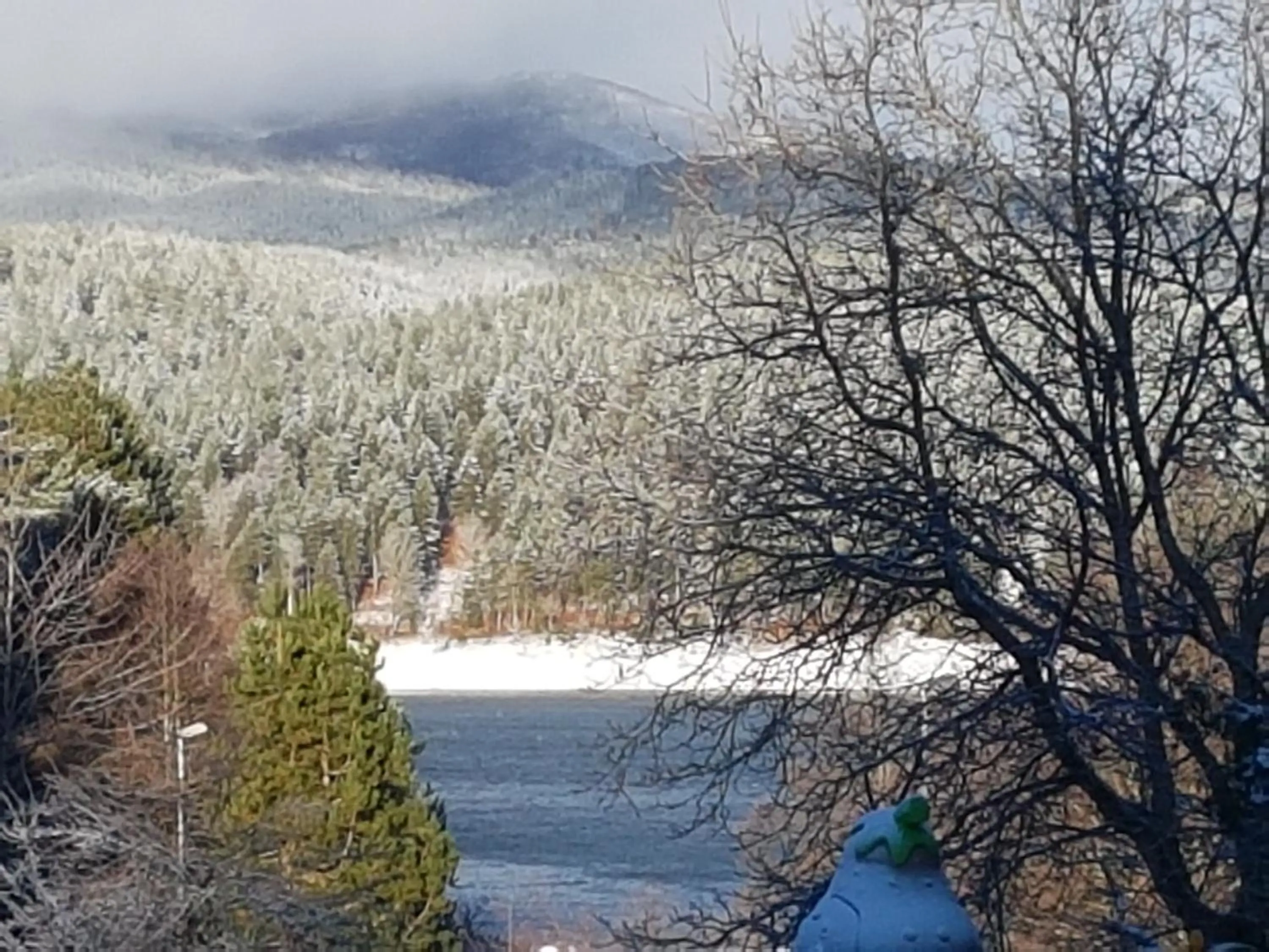 Natural landscape in Hotel del Lago Ampollino