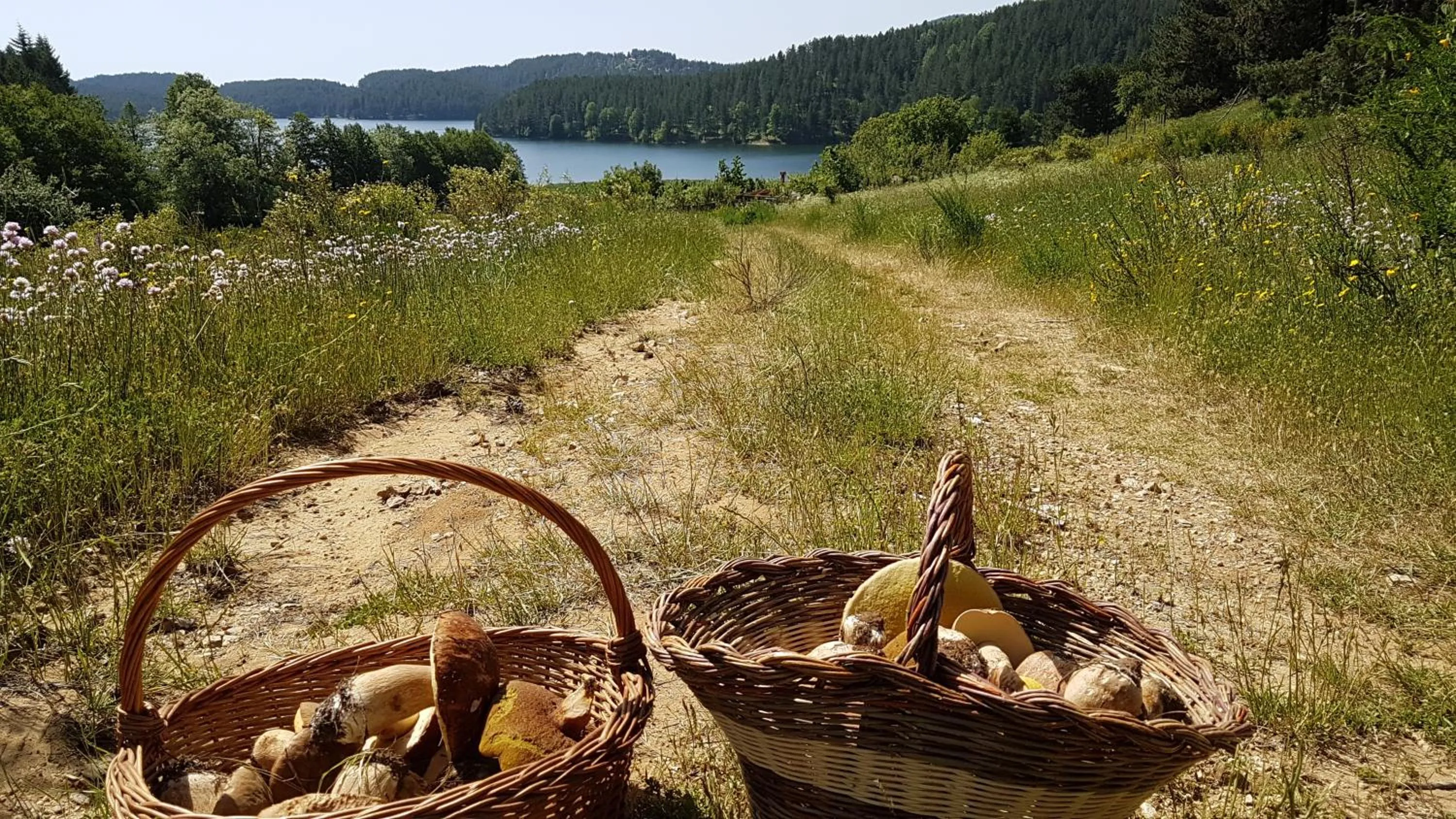 Other in Hotel del Lago Ampollino