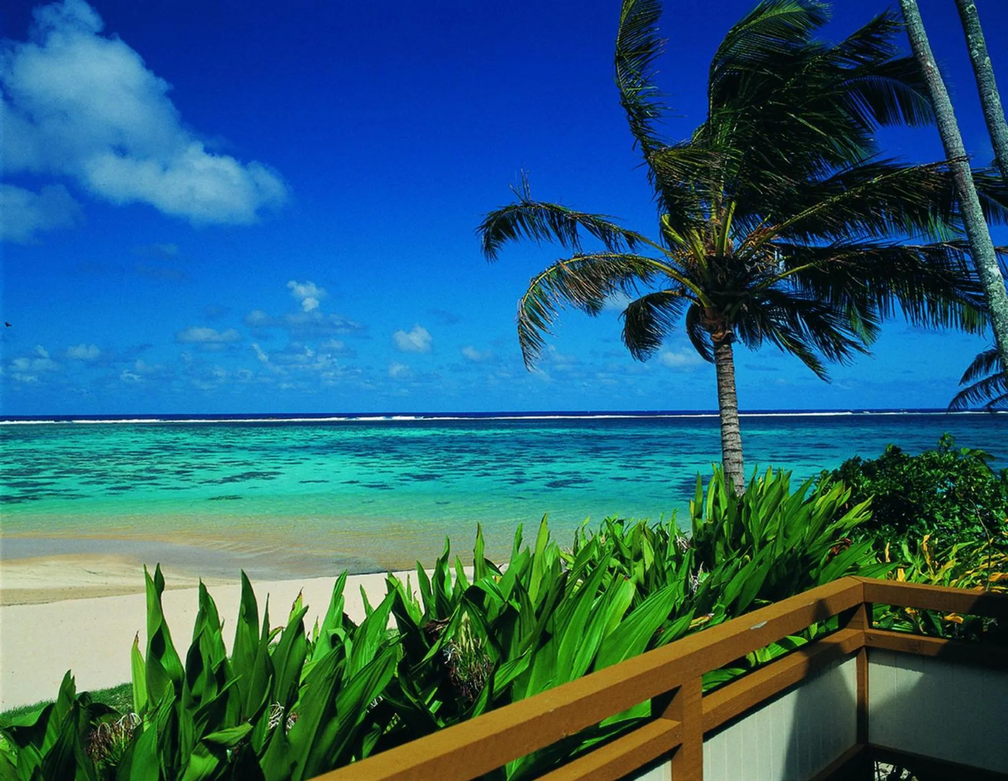 Balcony/Terrace in Palm Grove