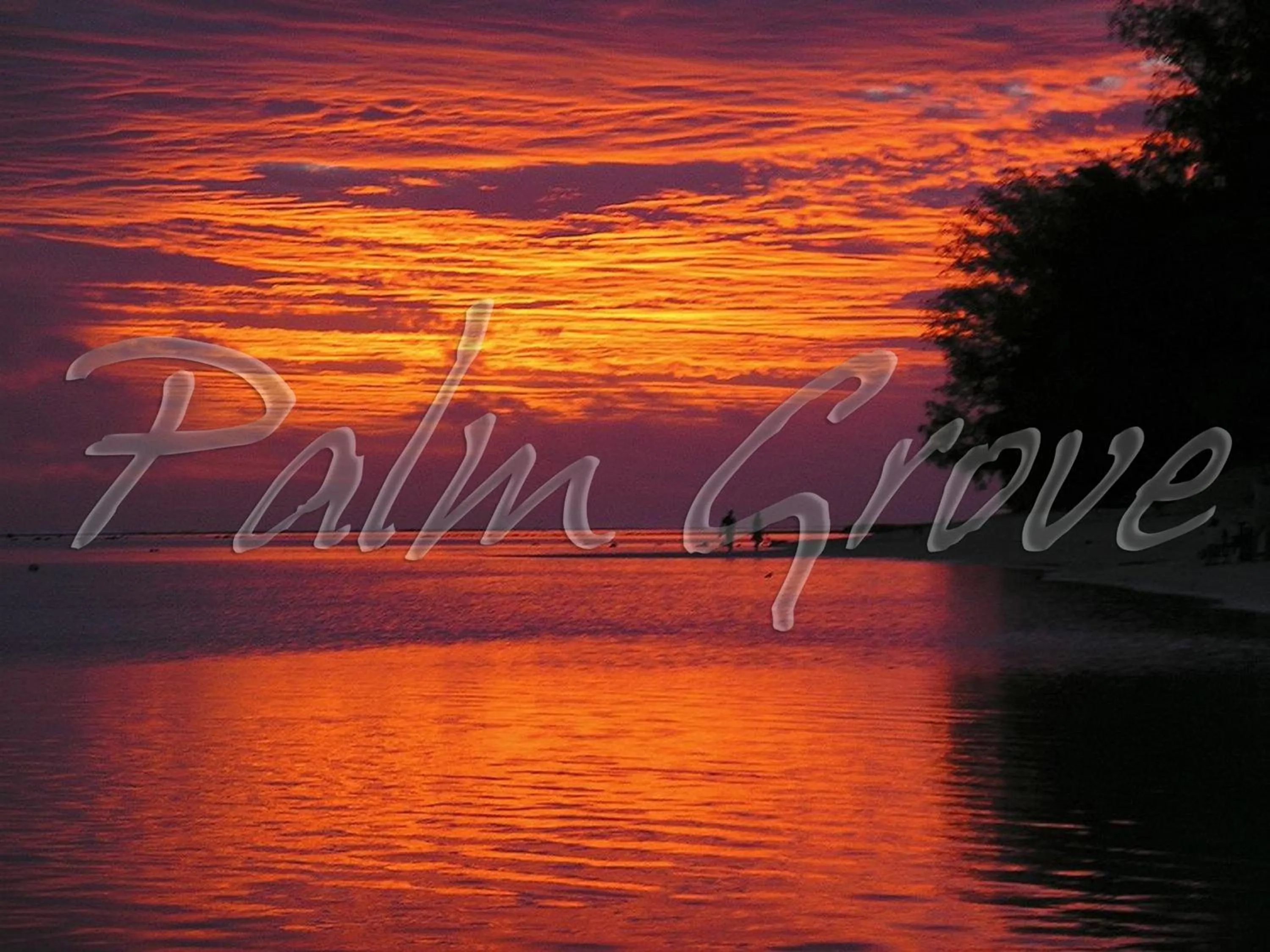 Beach in Palm Grove